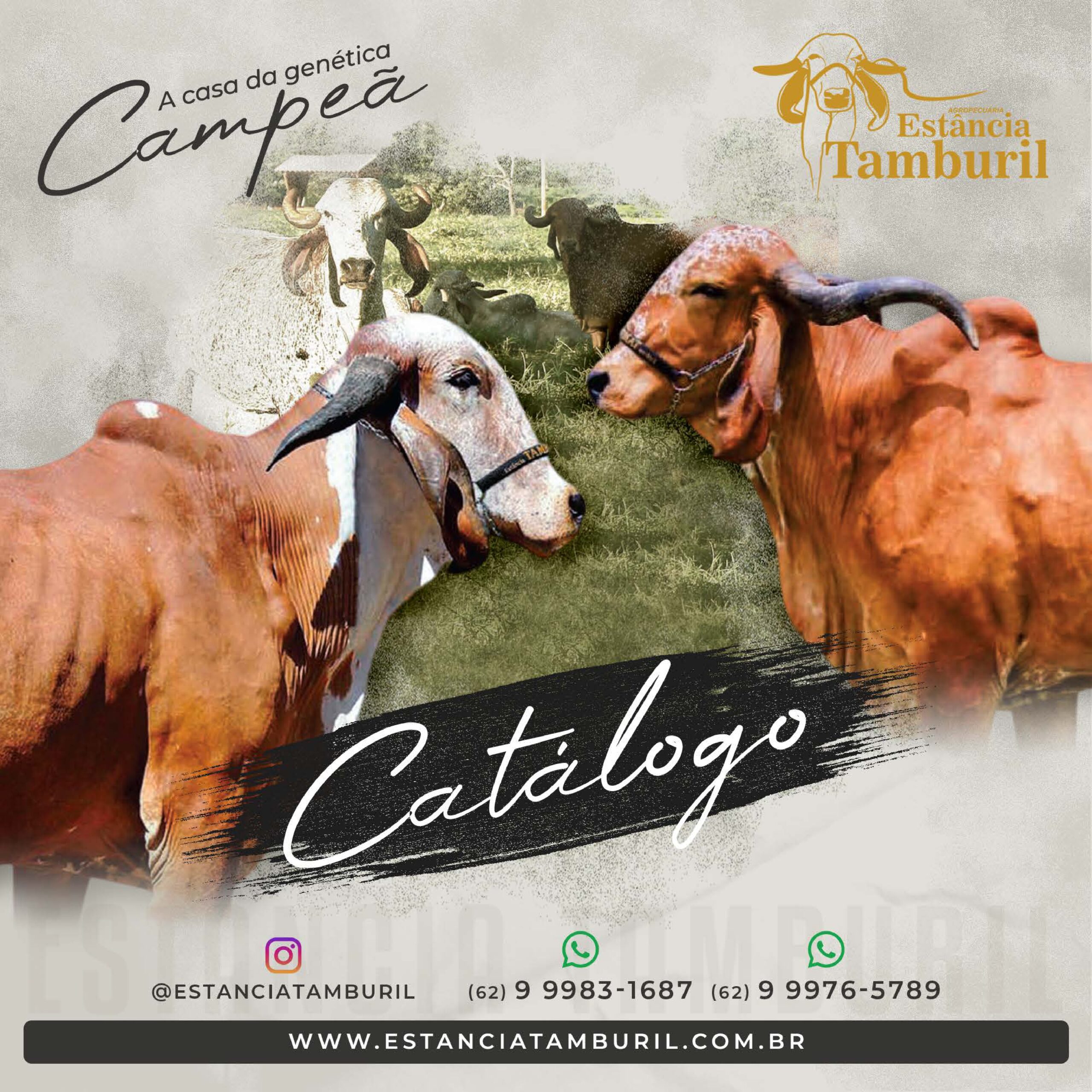 catalogo_tamburil_page-0001