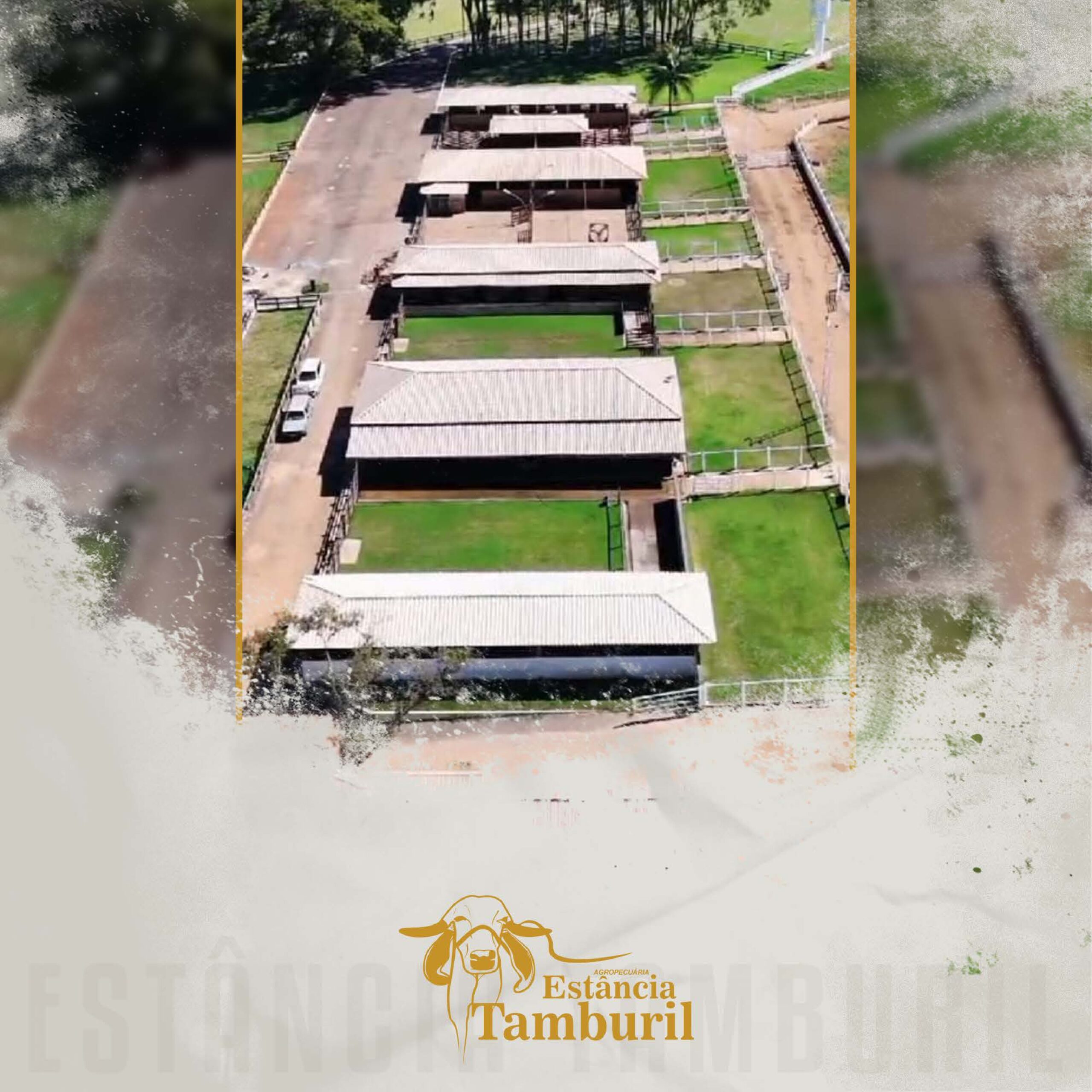 catalogo_tamburil_page-0002