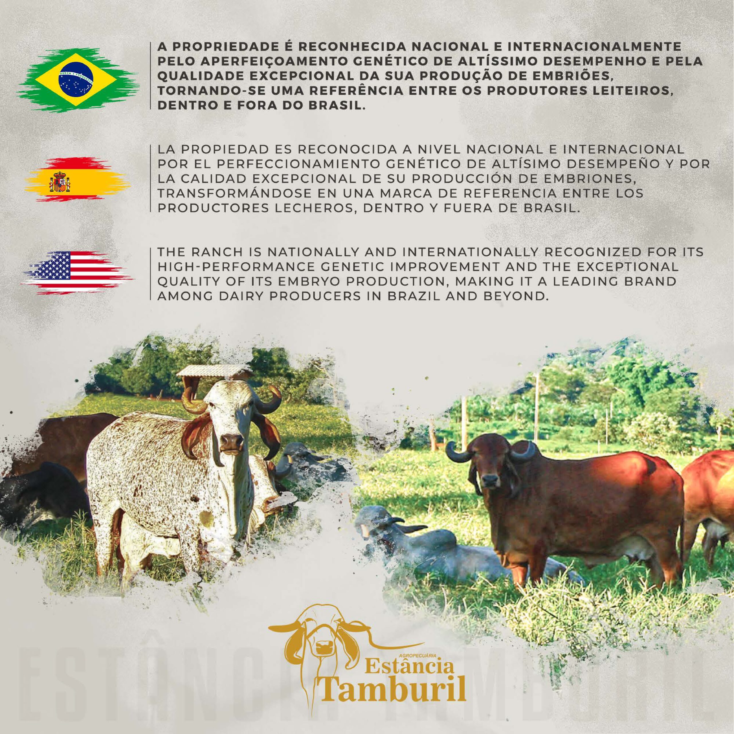 catalogo_tamburil_page-0003