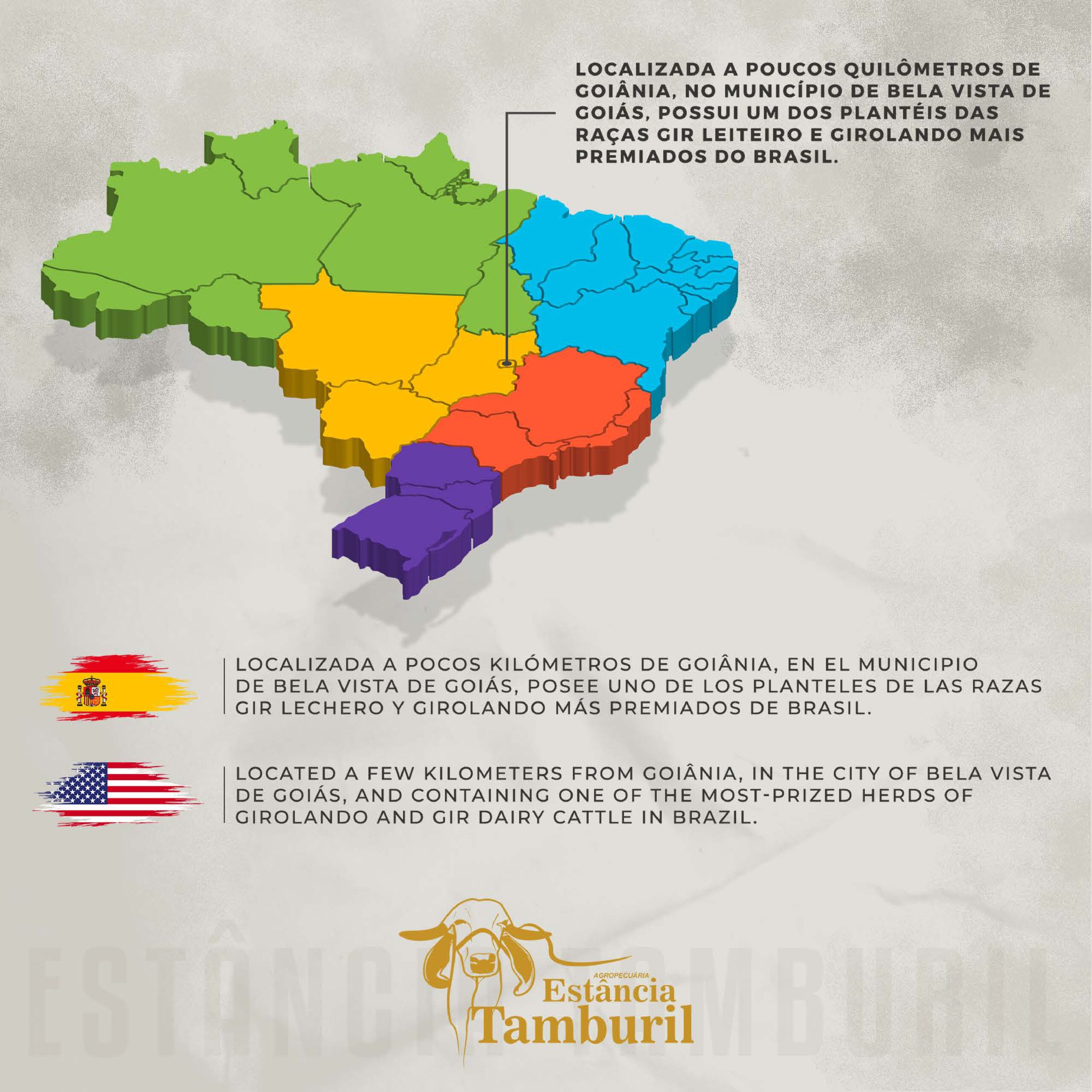 catalogo_tamburil_page-0004