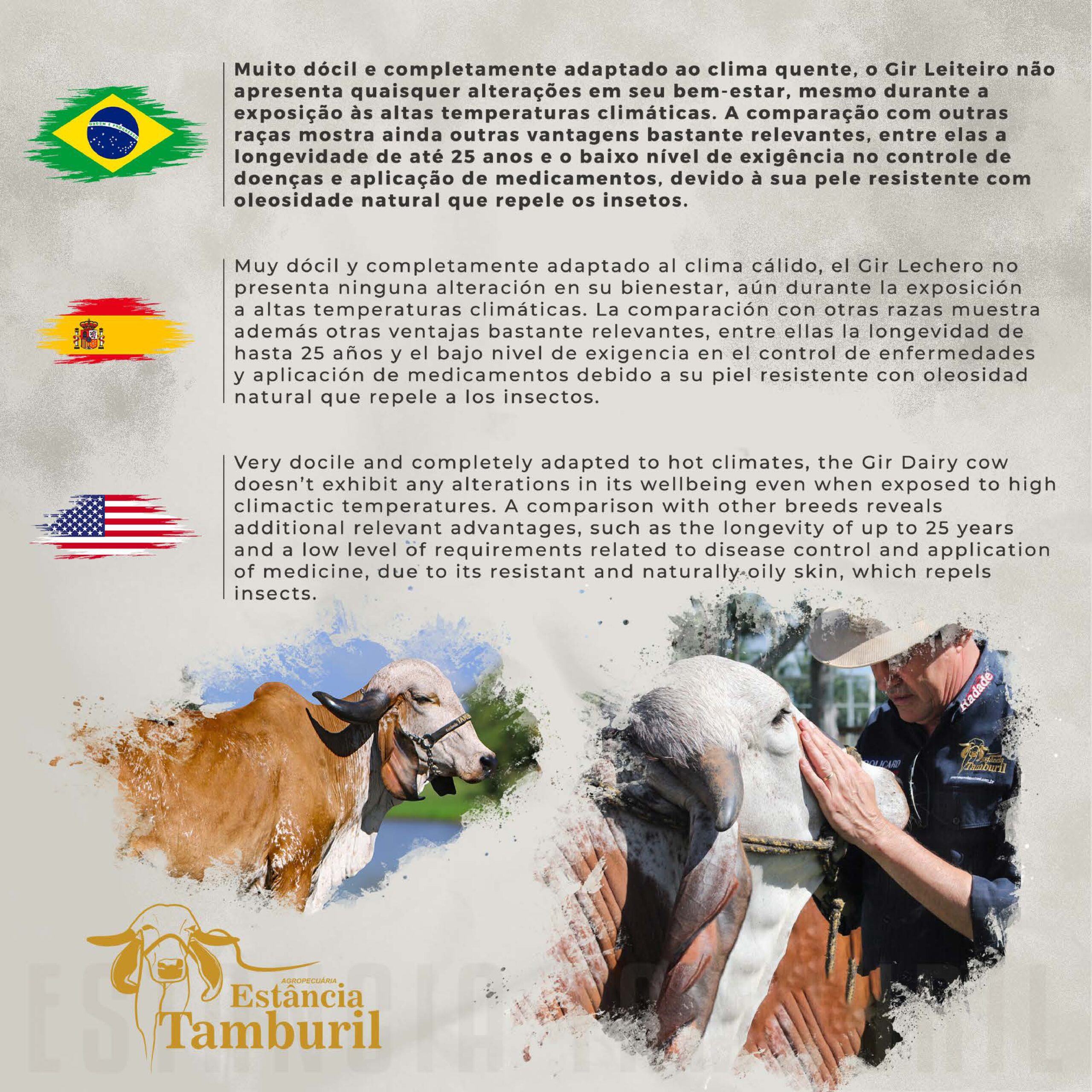 catalogo_tamburil_page-0005