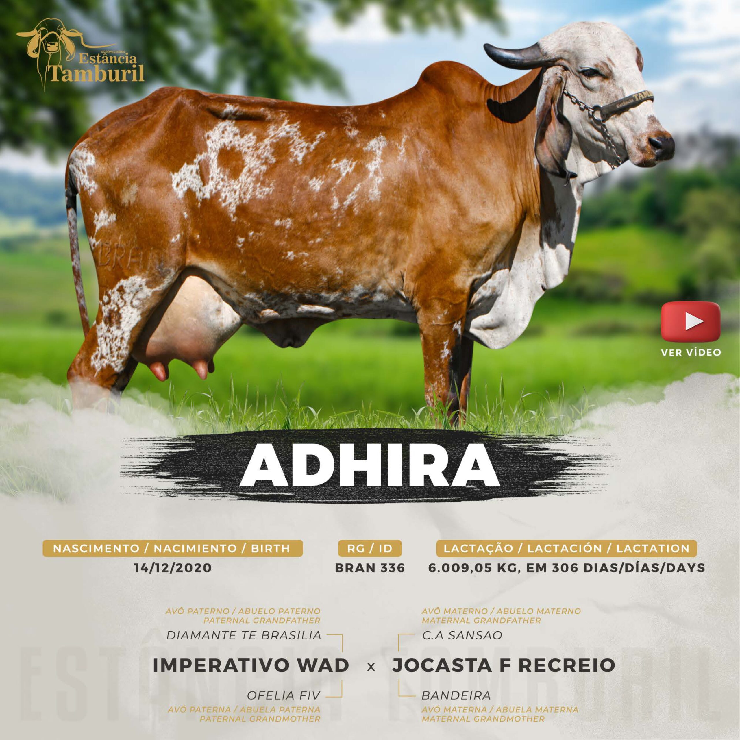 catalogo_tamburil_page-0007