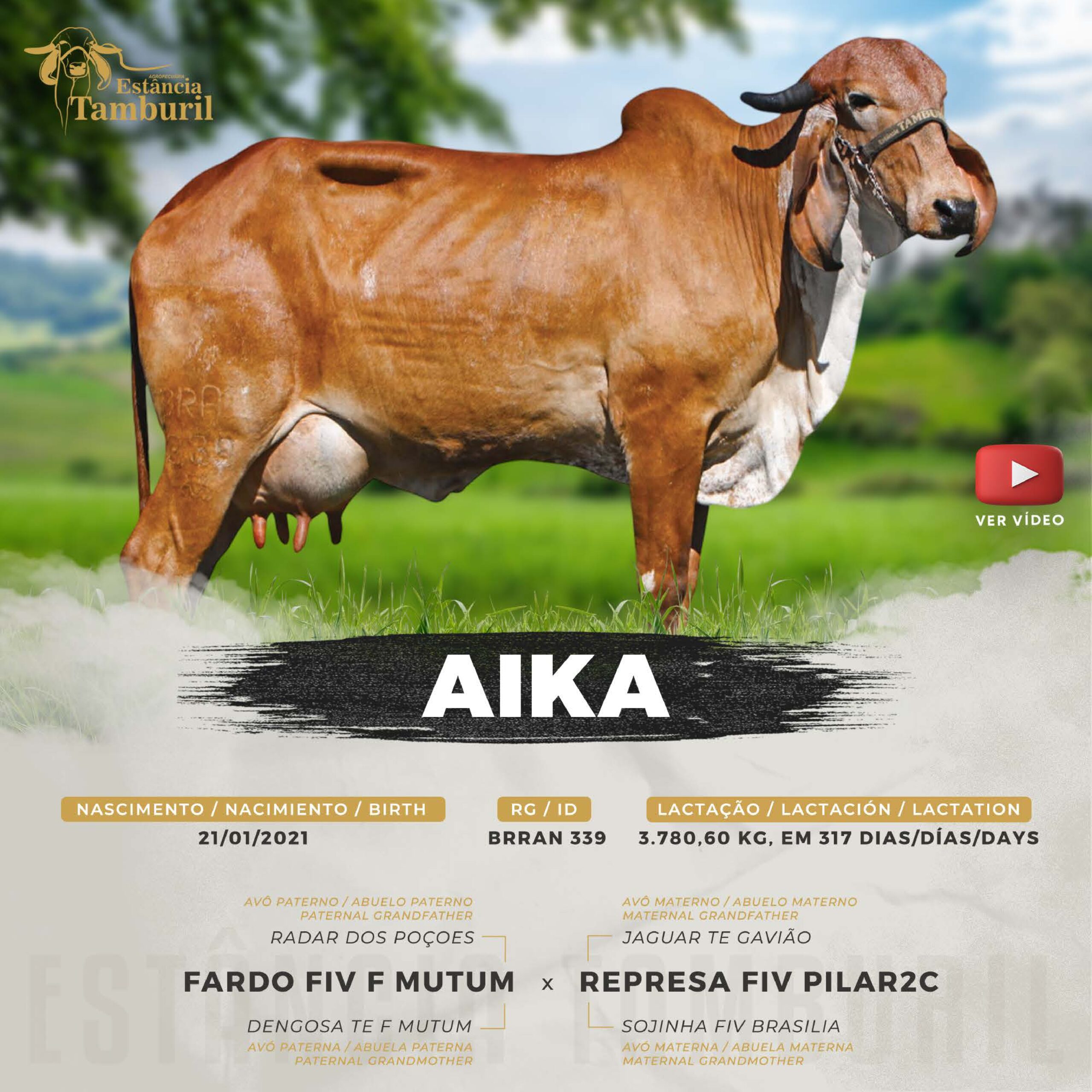 catalogo_tamburil_page-0008