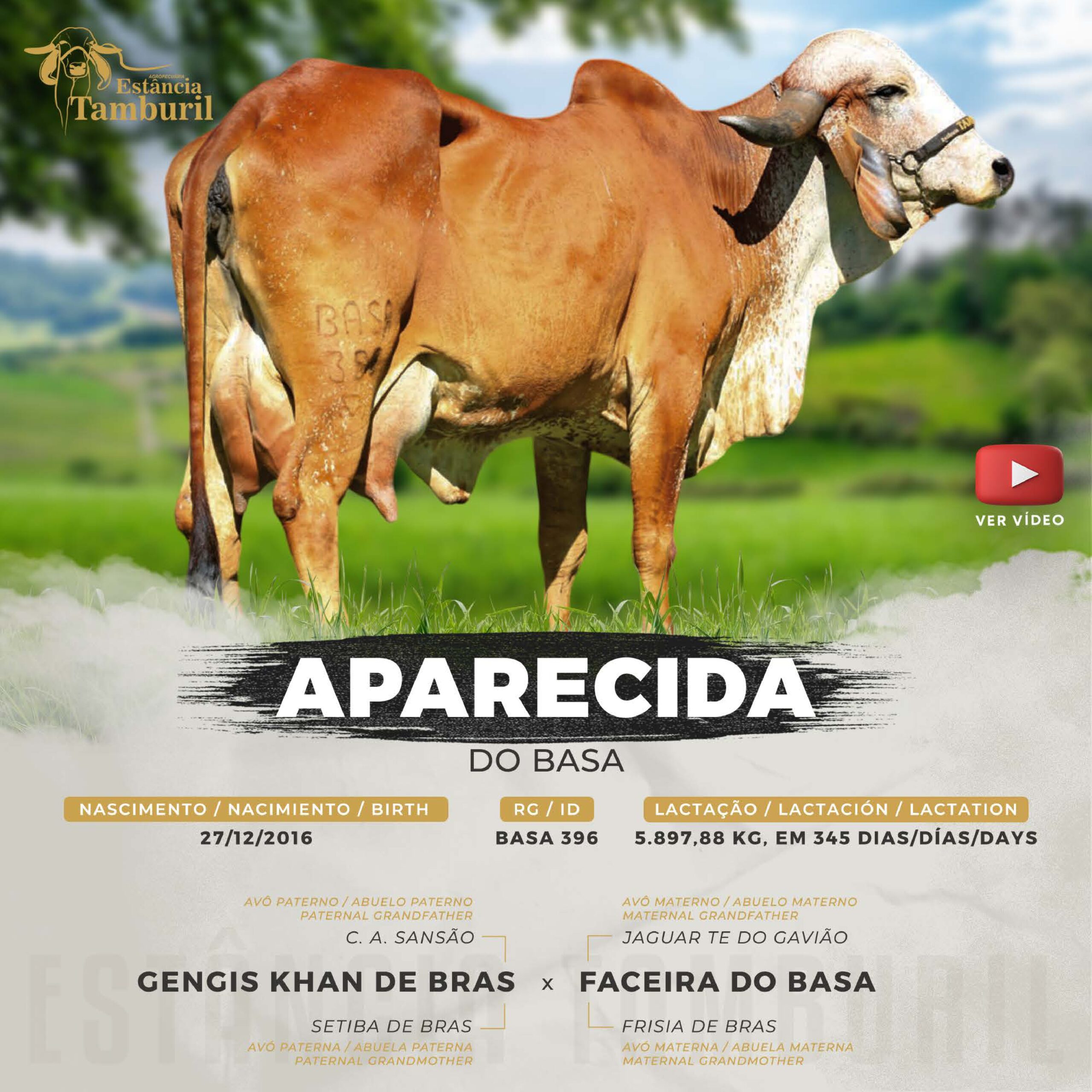 catalogo_tamburil_page-0009