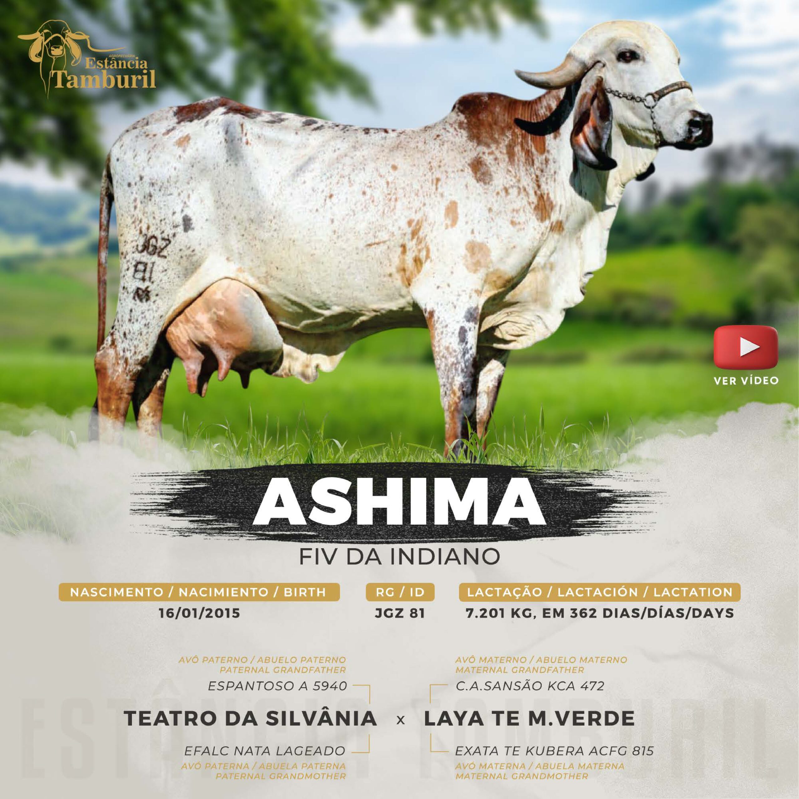 catalogo_tamburil_page-0010