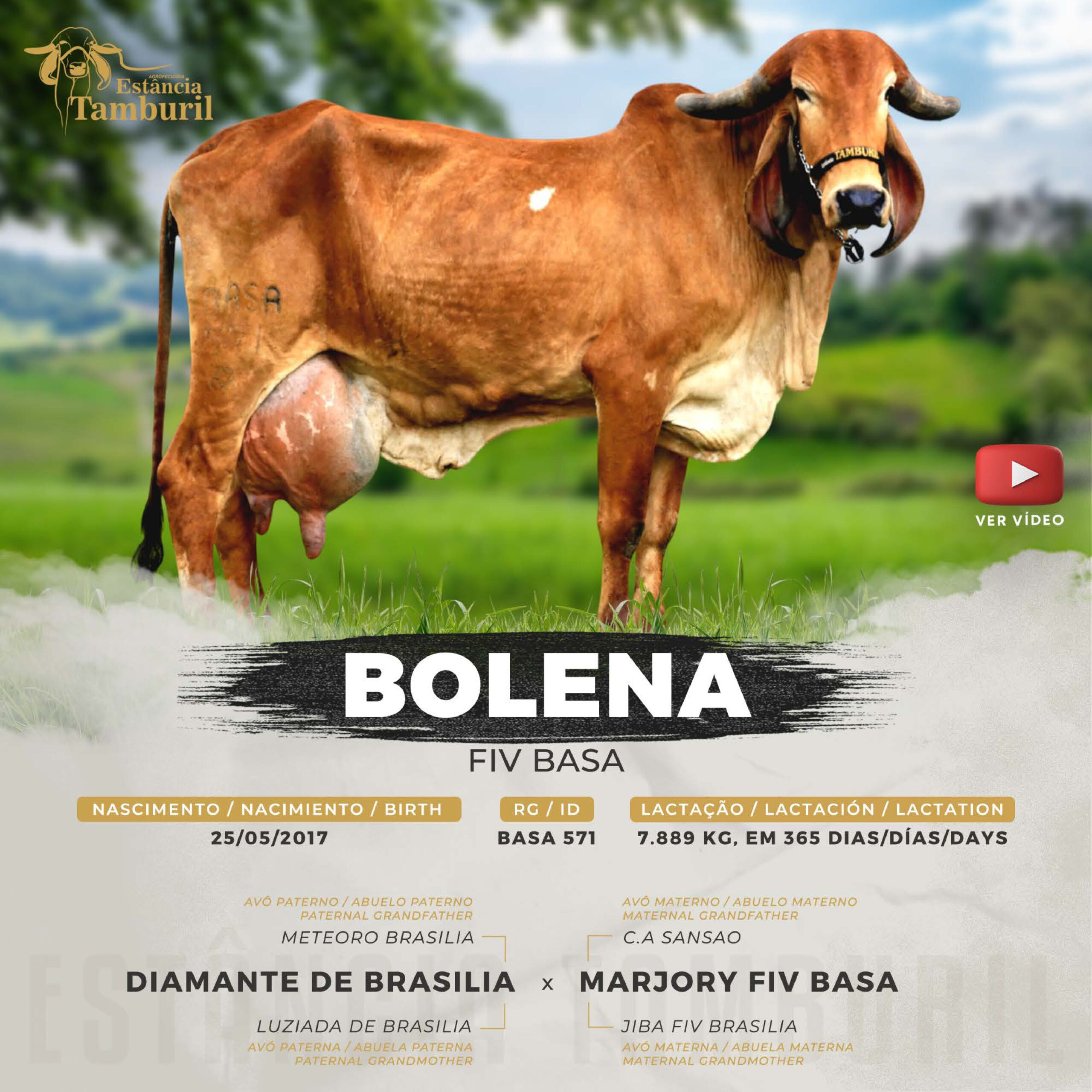 catalogo_tamburil_page-0012