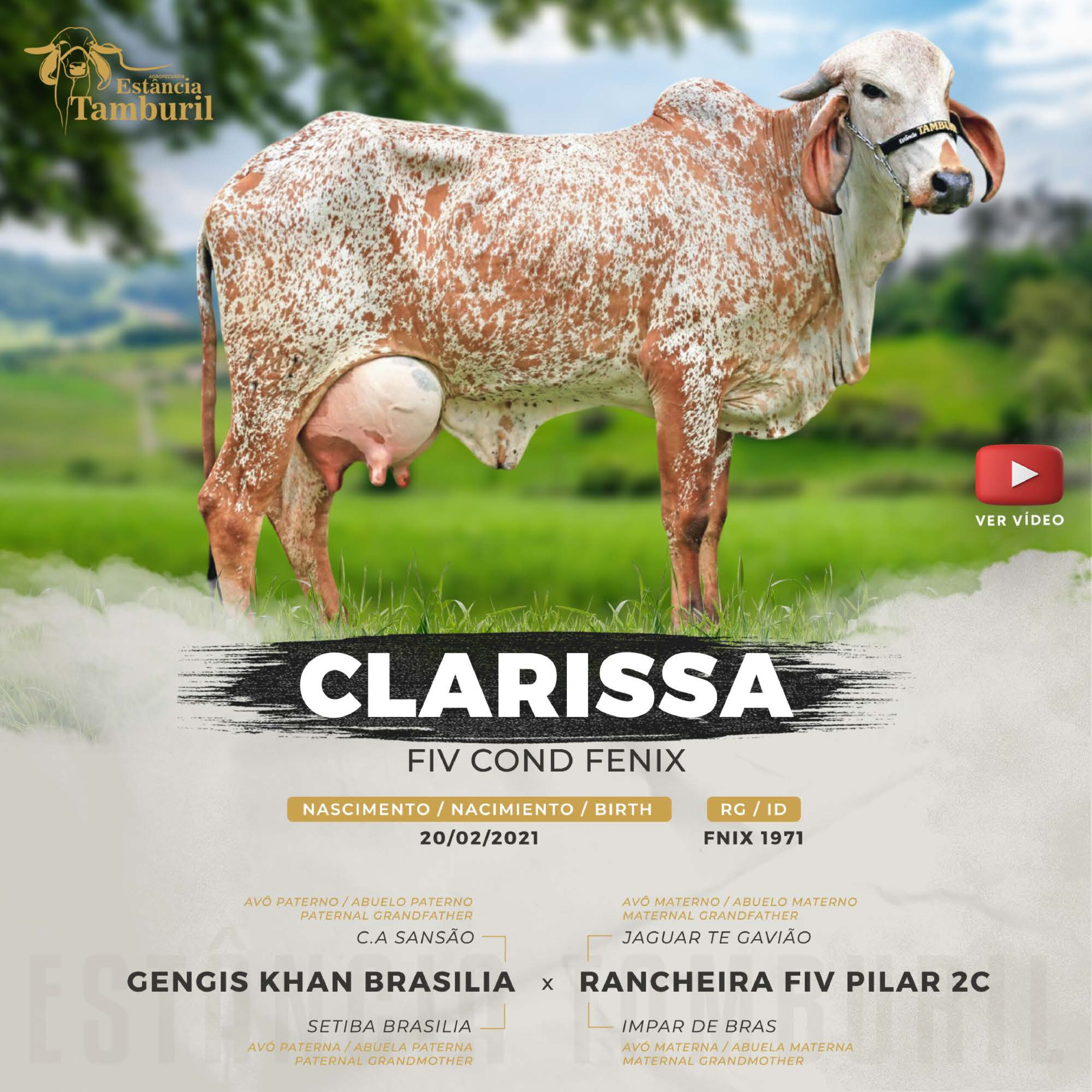 catalogo_tamburil_page-0013