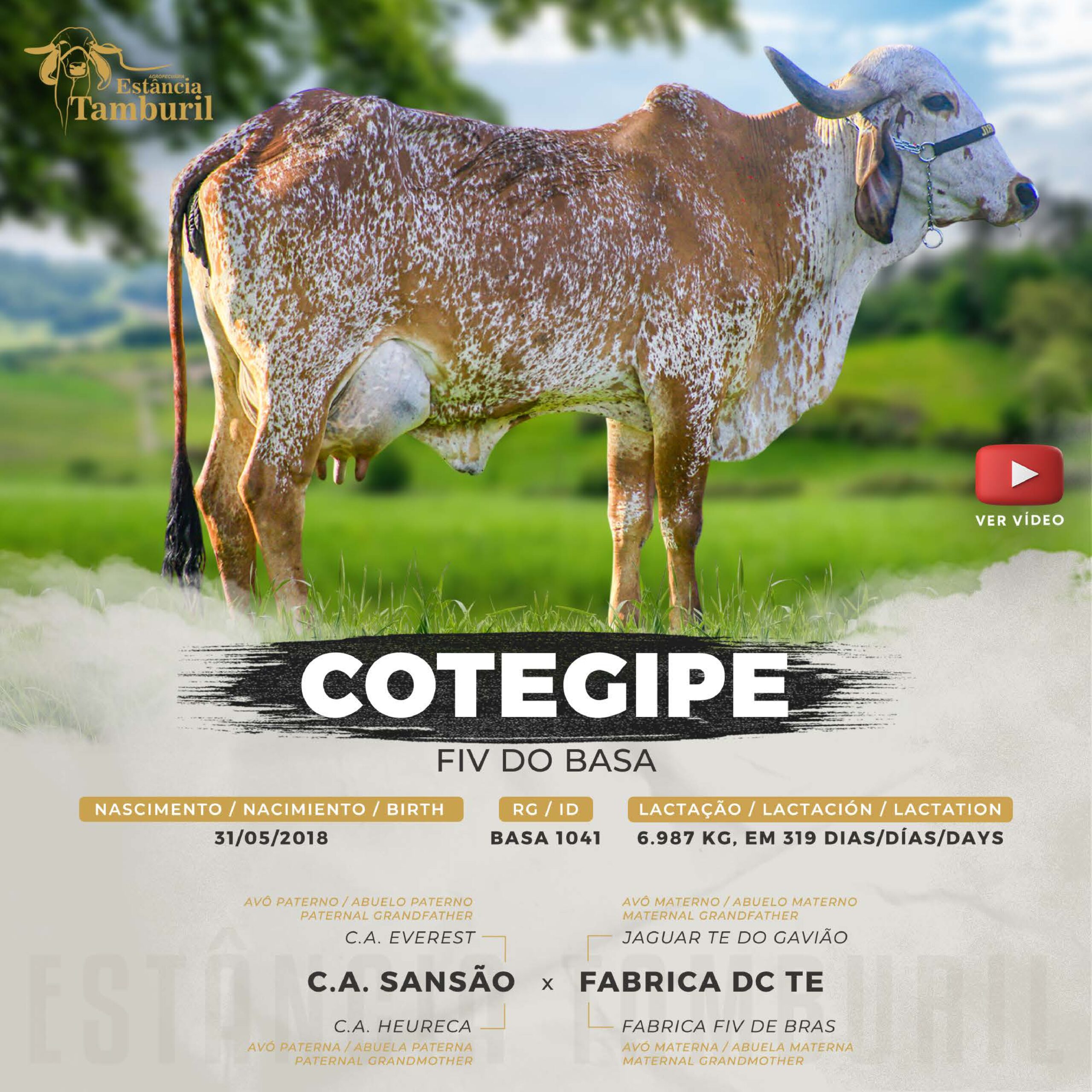 catalogo_tamburil_page-0014