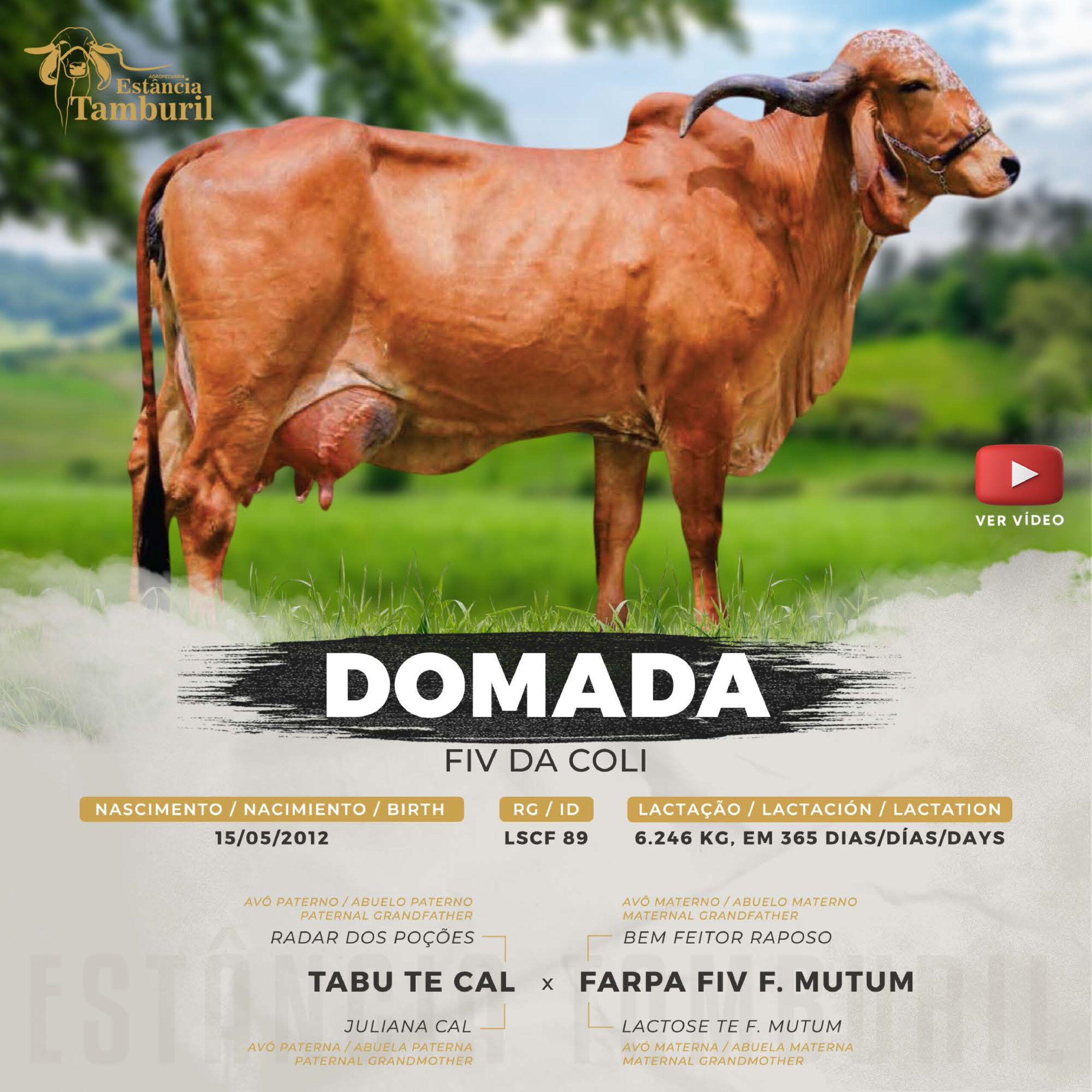 catalogo_tamburil_page-0017