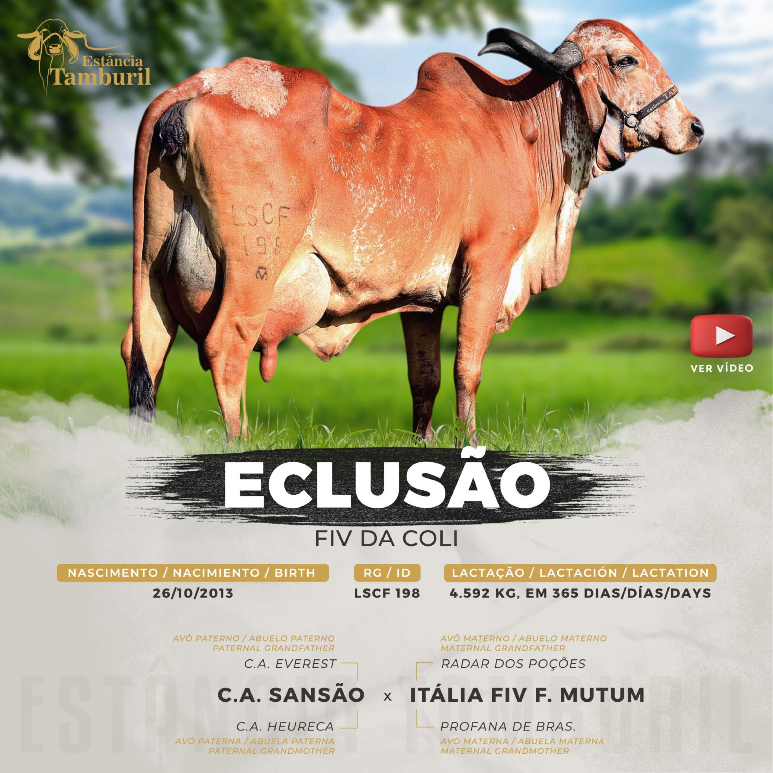 catalogo_tamburil_page-0018