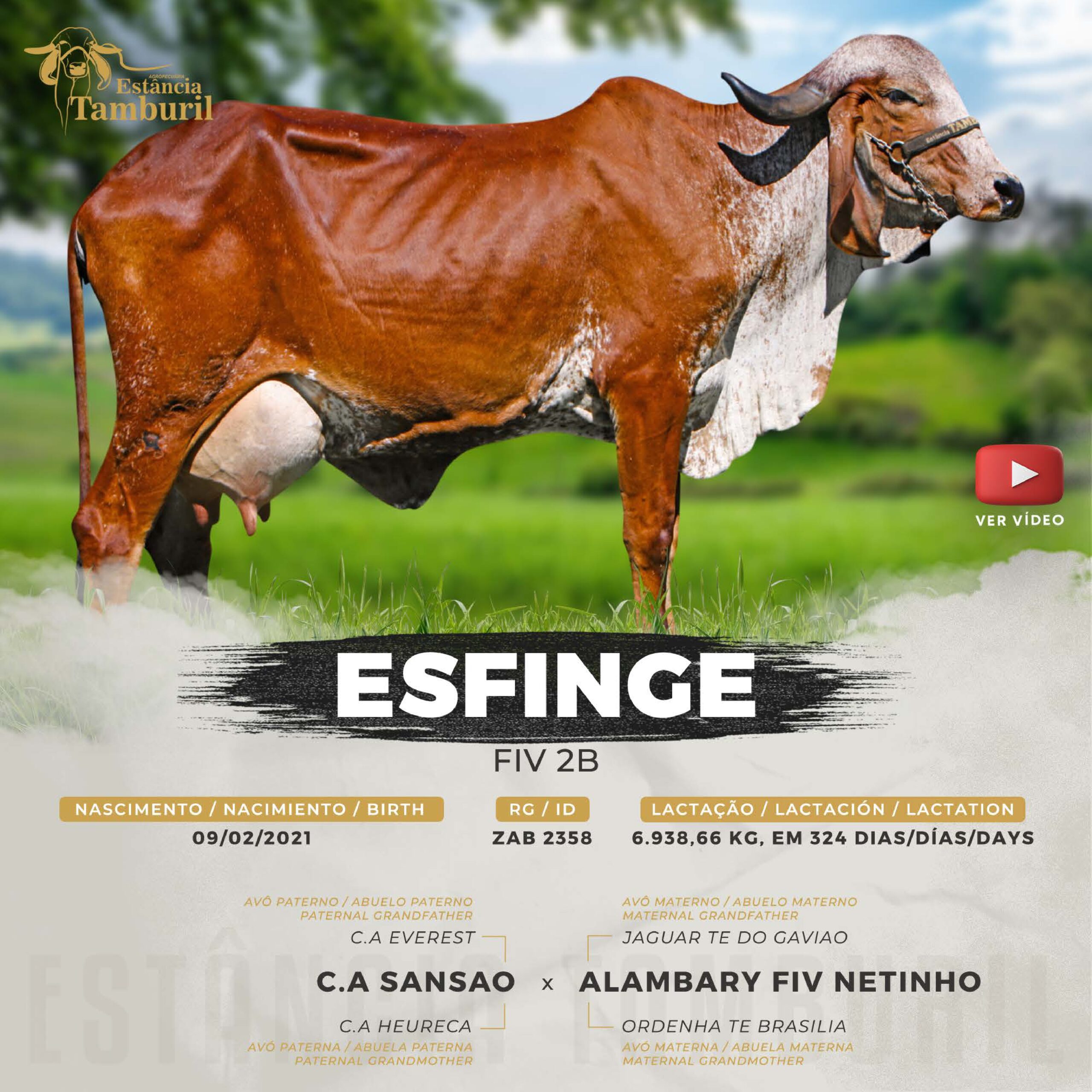 catalogo_tamburil_page-0021