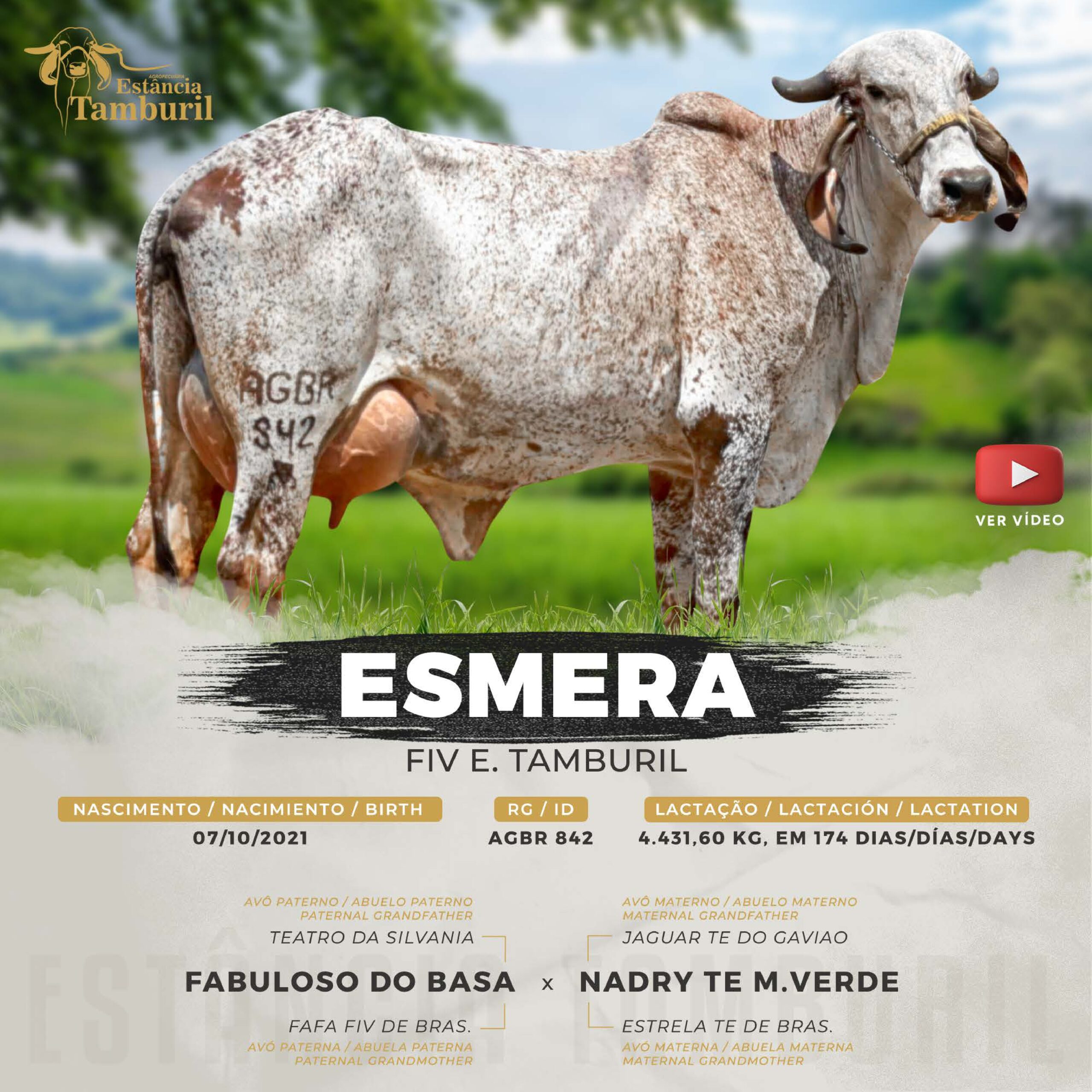 catalogo_tamburil_page-0022