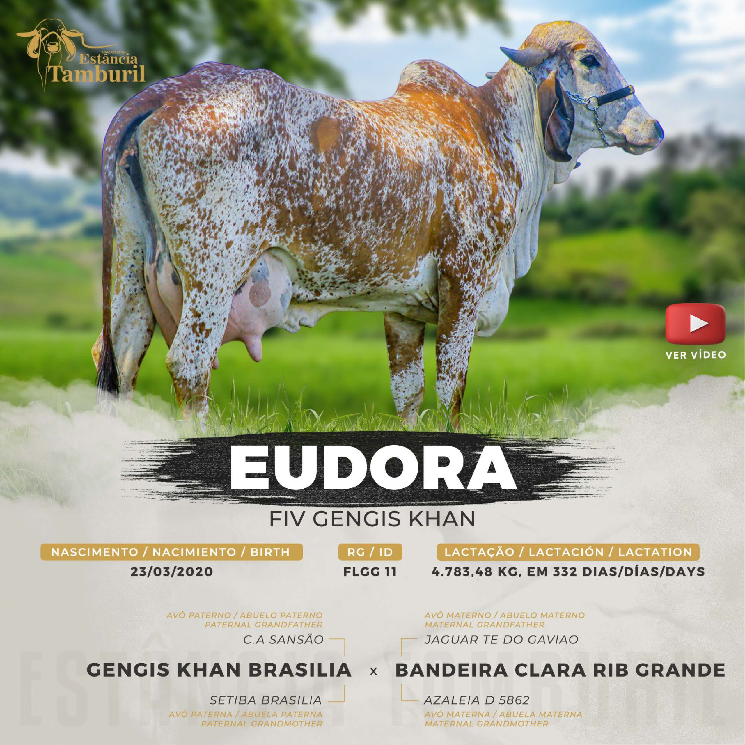 catalogo_tamburil_page-0023