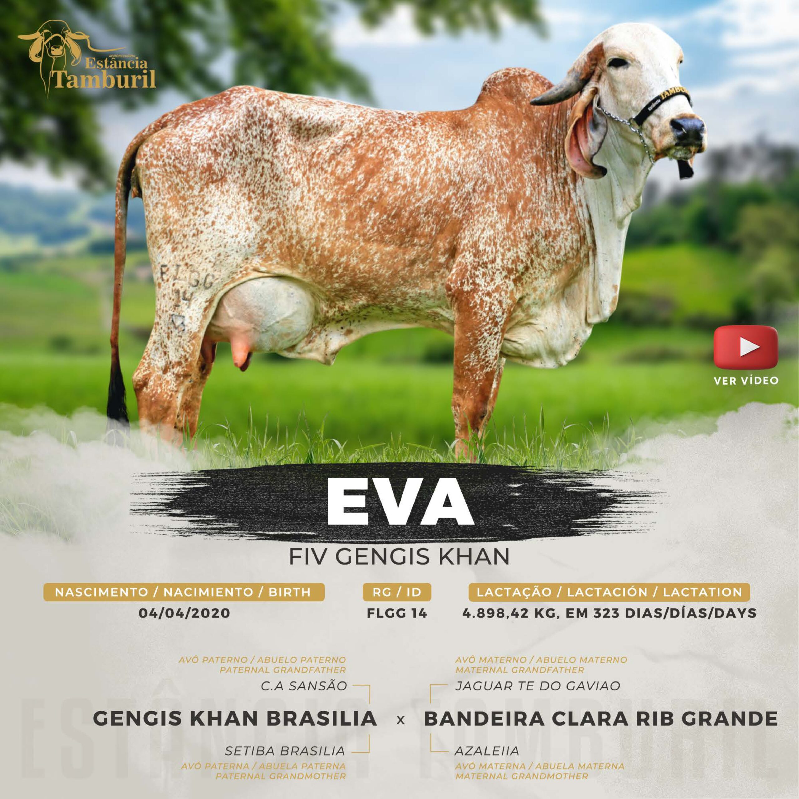 catalogo_tamburil_page-0024