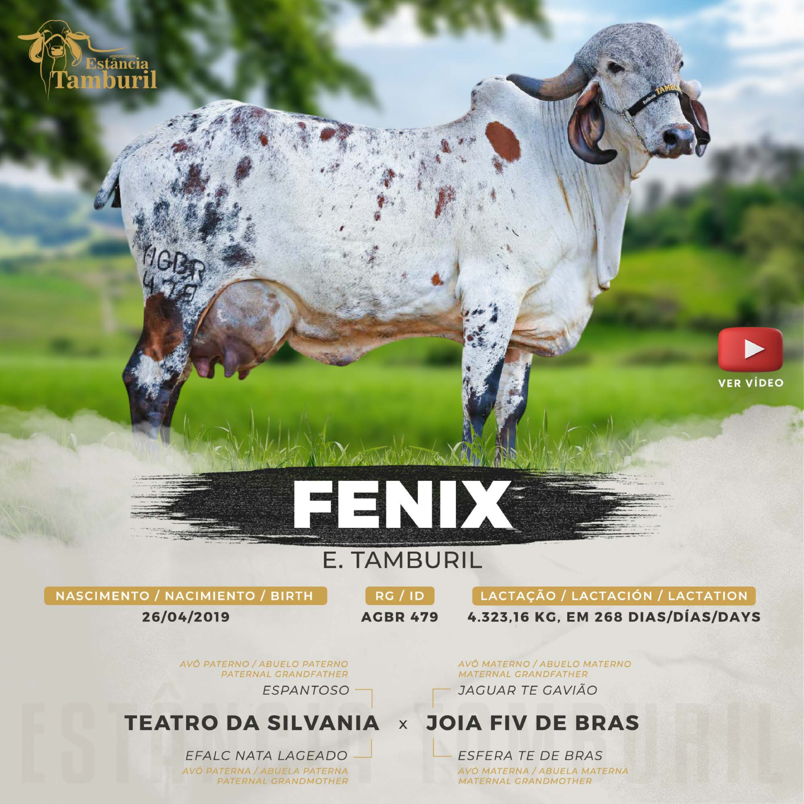 catalogo_tamburil_page-0027