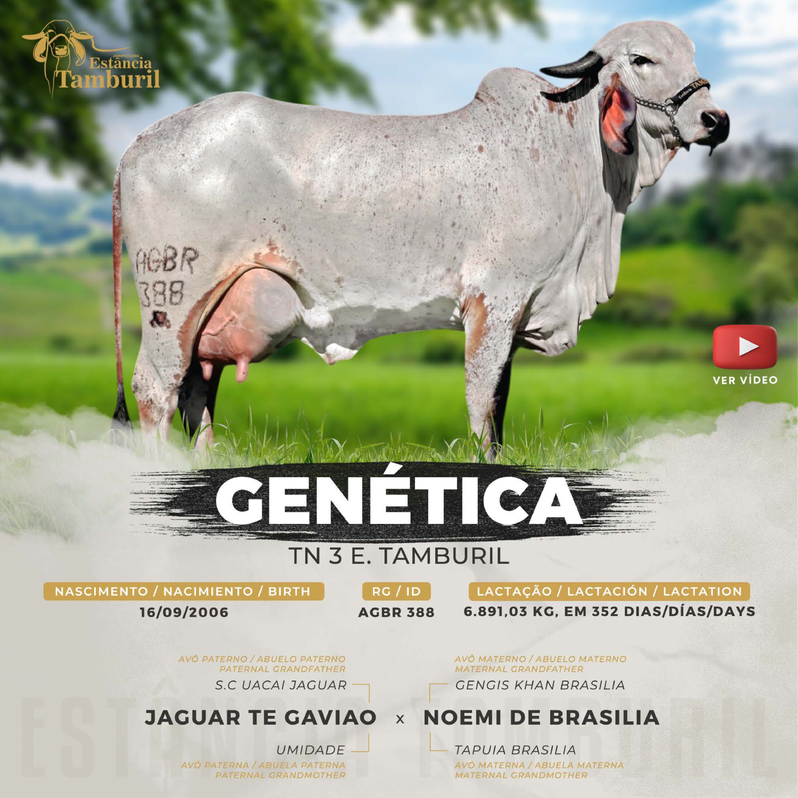 catalogo_tamburil_page-0028