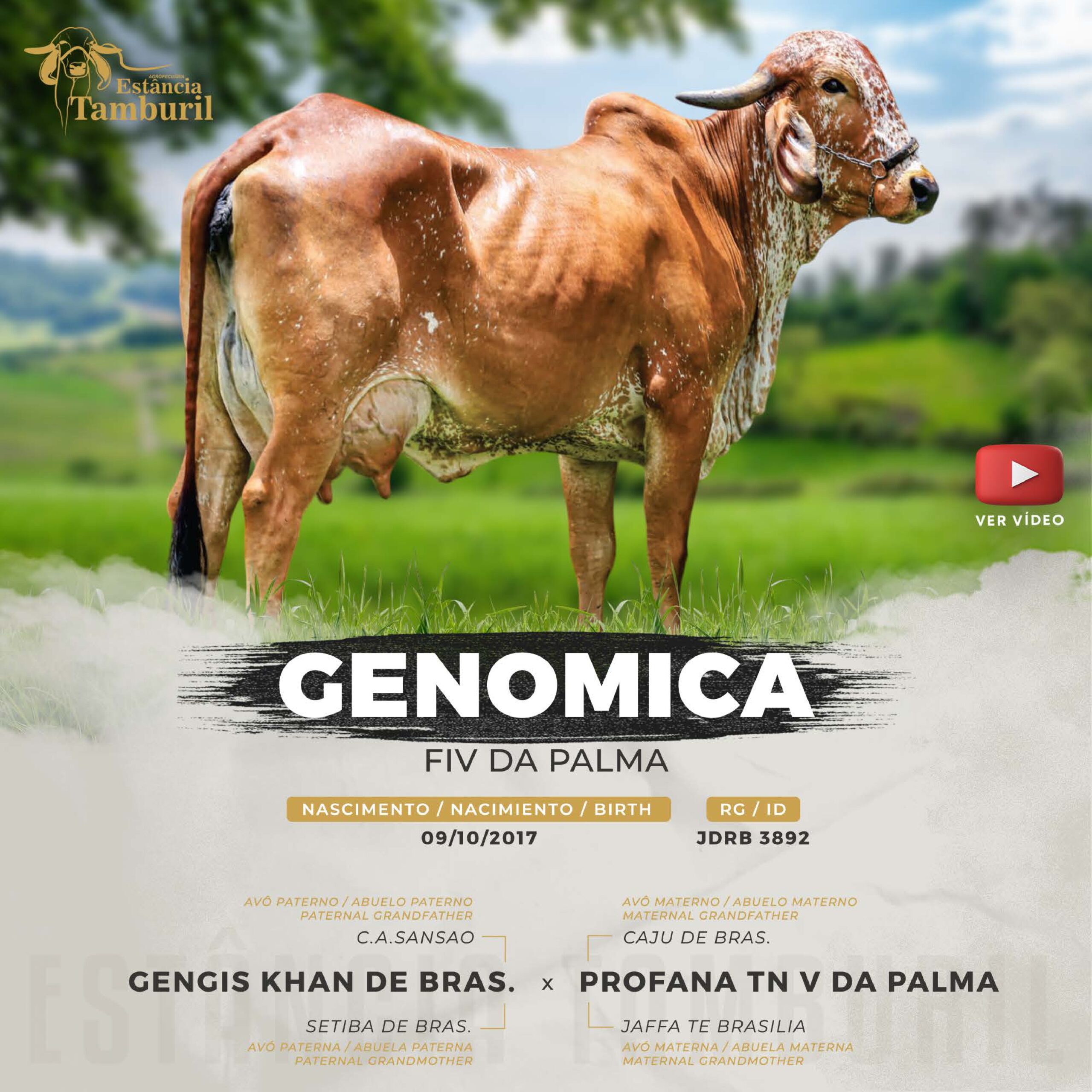 catalogo_tamburil_page-0029