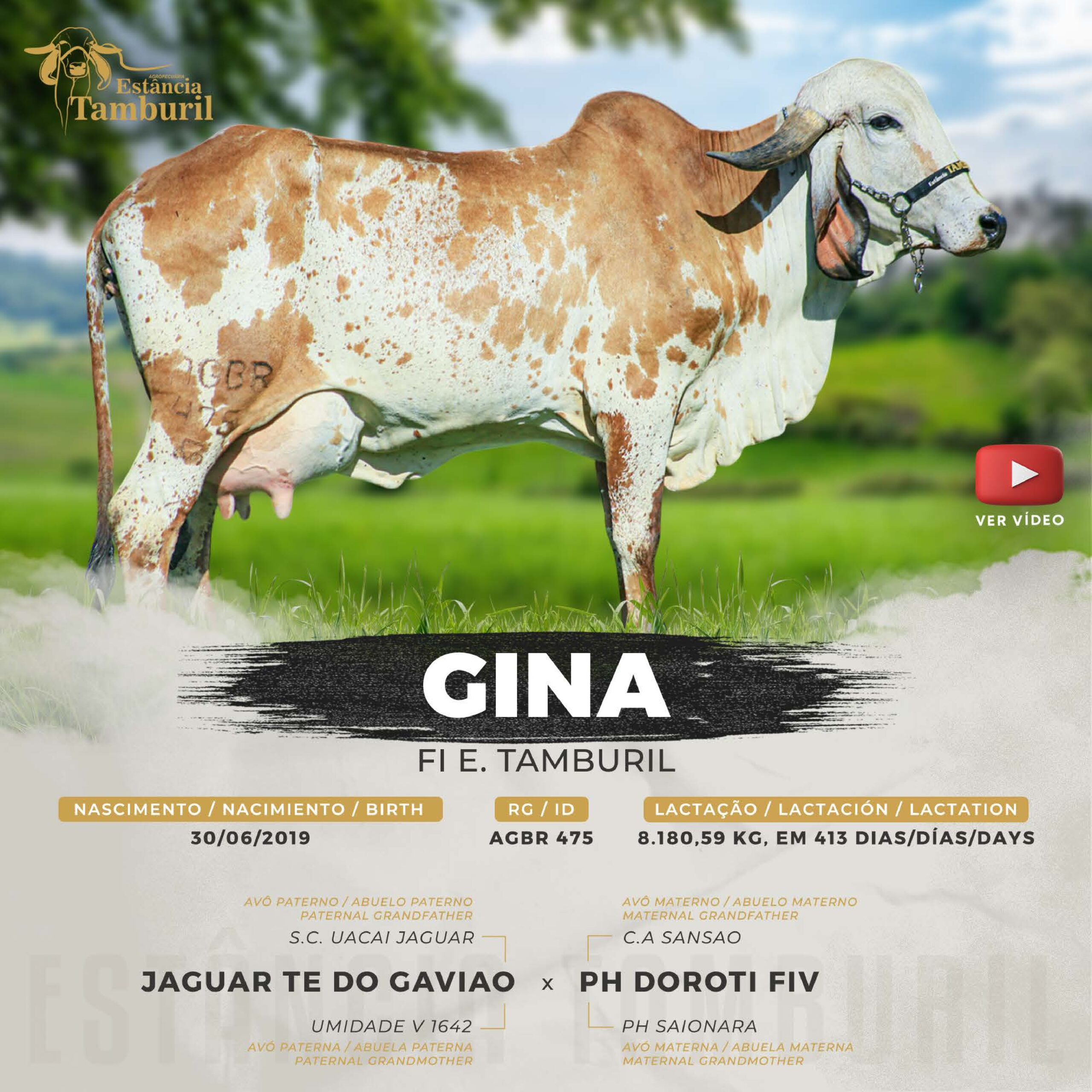 catalogo_tamburil_page-0030