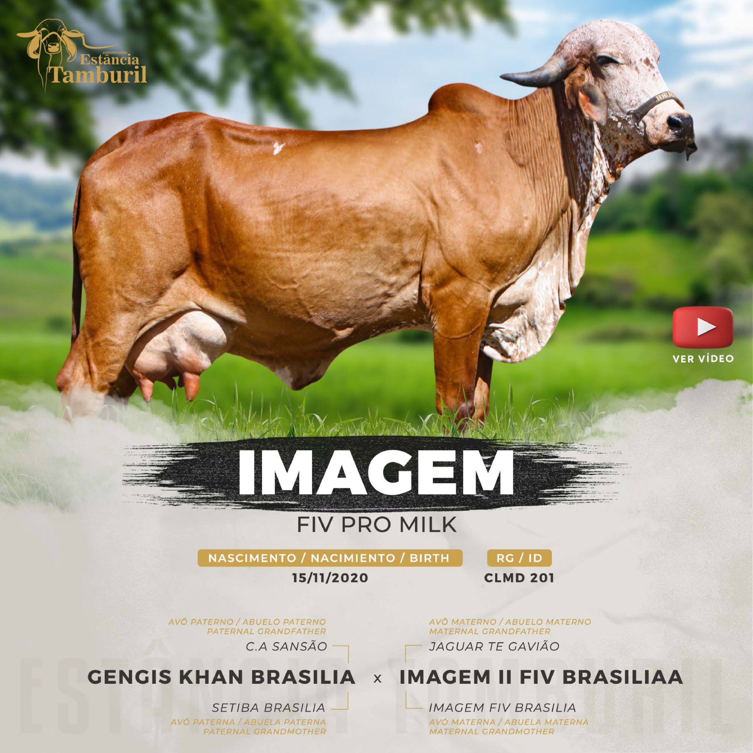 catalogo_tamburil_page-0032