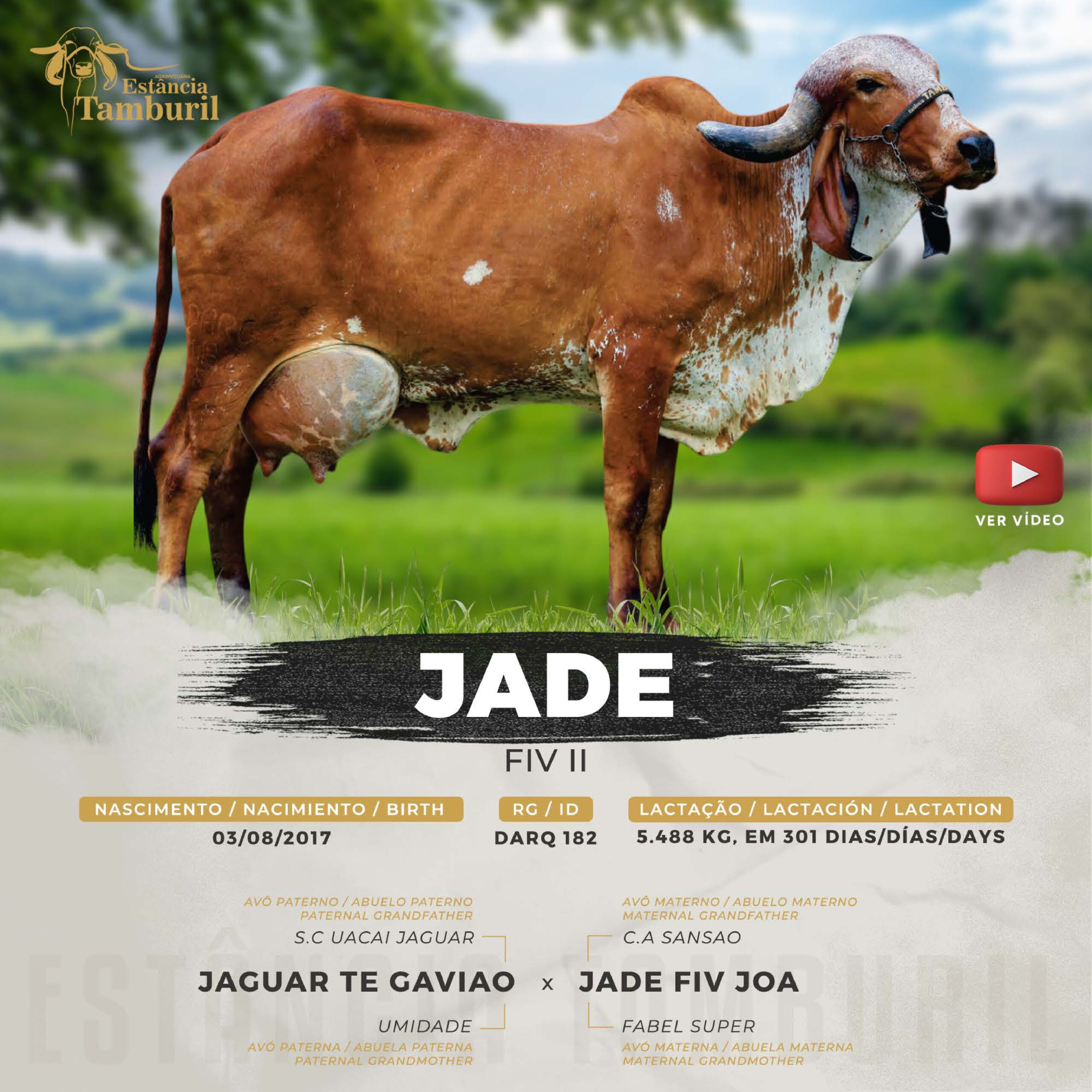 catalogo_tamburil_page-0033