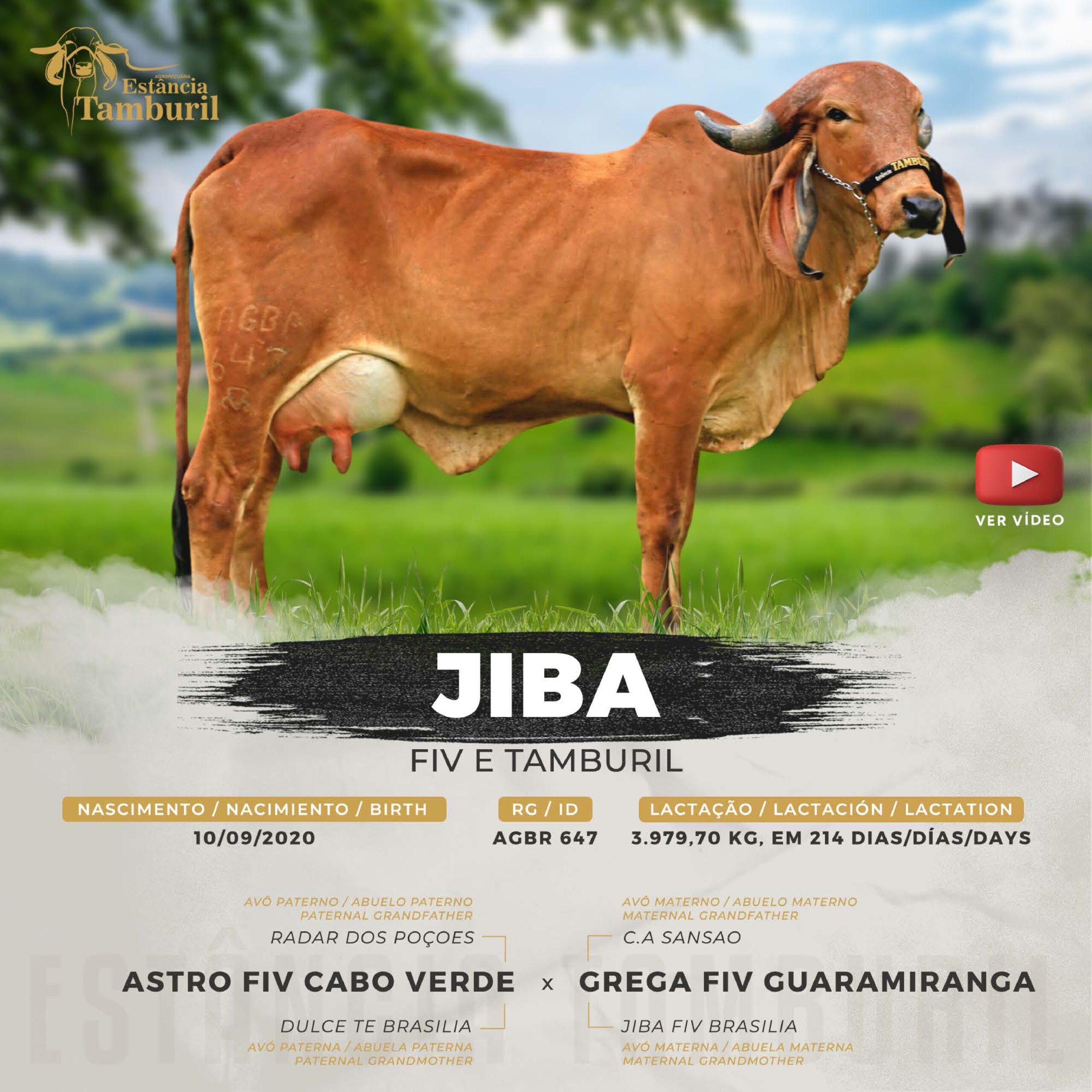 catalogo_tamburil_page-0034