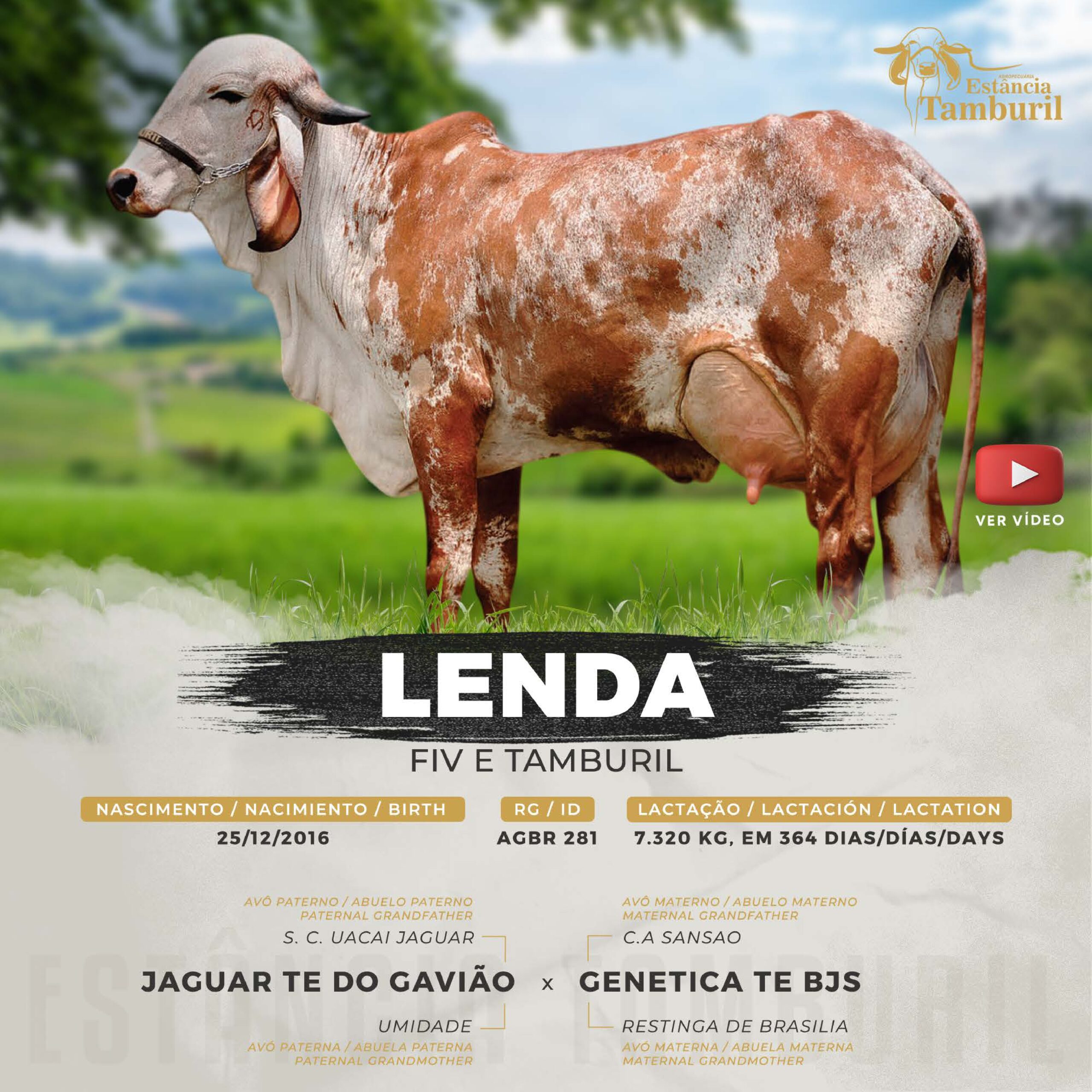 catalogo_tamburil_page-0035