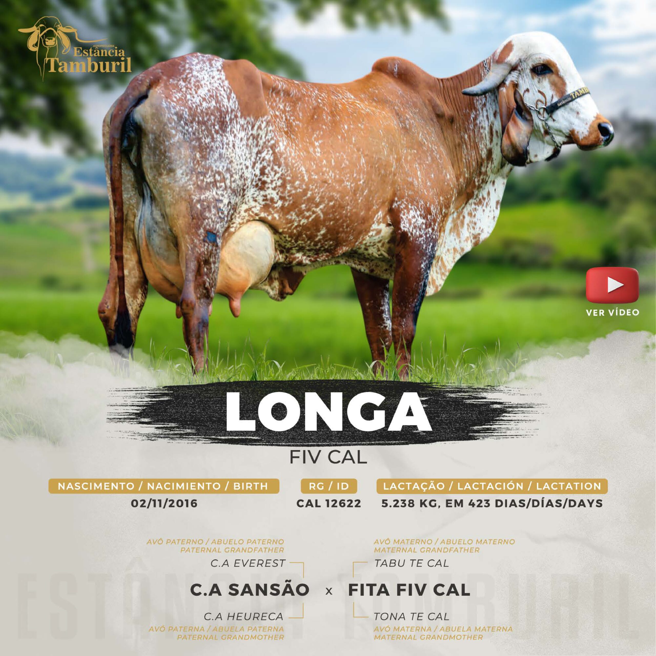 catalogo_tamburil_page-0036