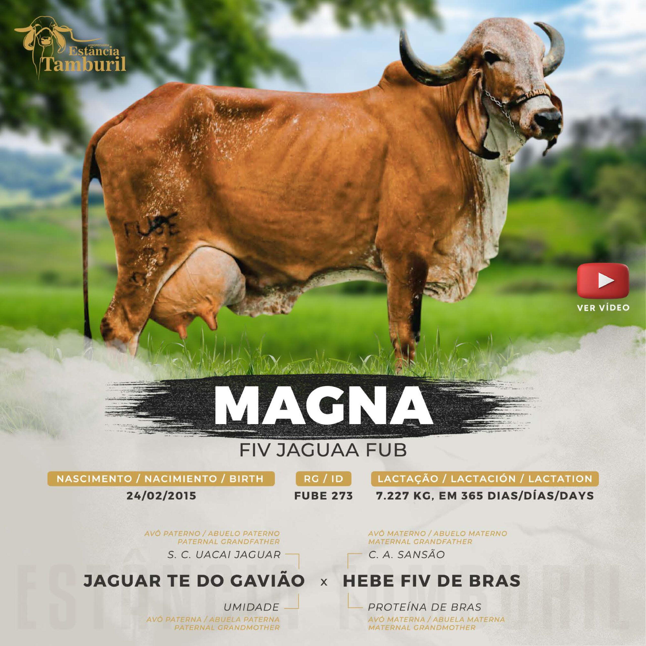 catalogo_tamburil_page-0037