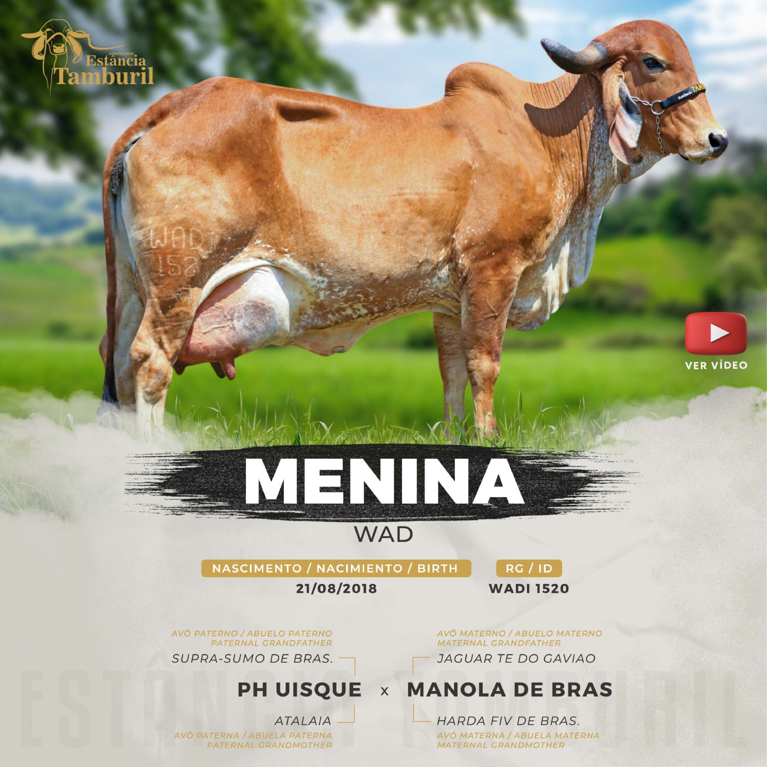 catalogo_tamburil_page-0038