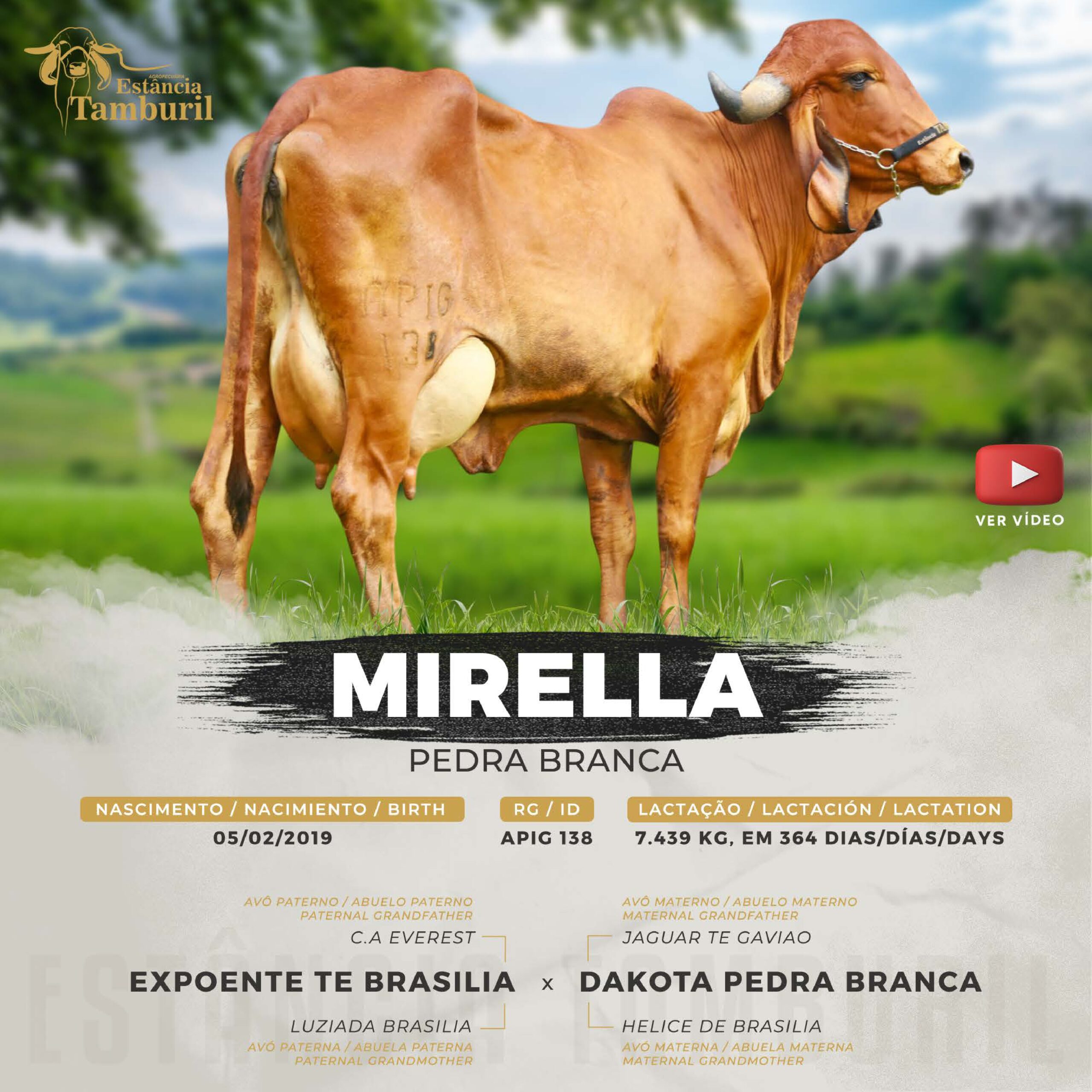 catalogo_tamburil_page-0039