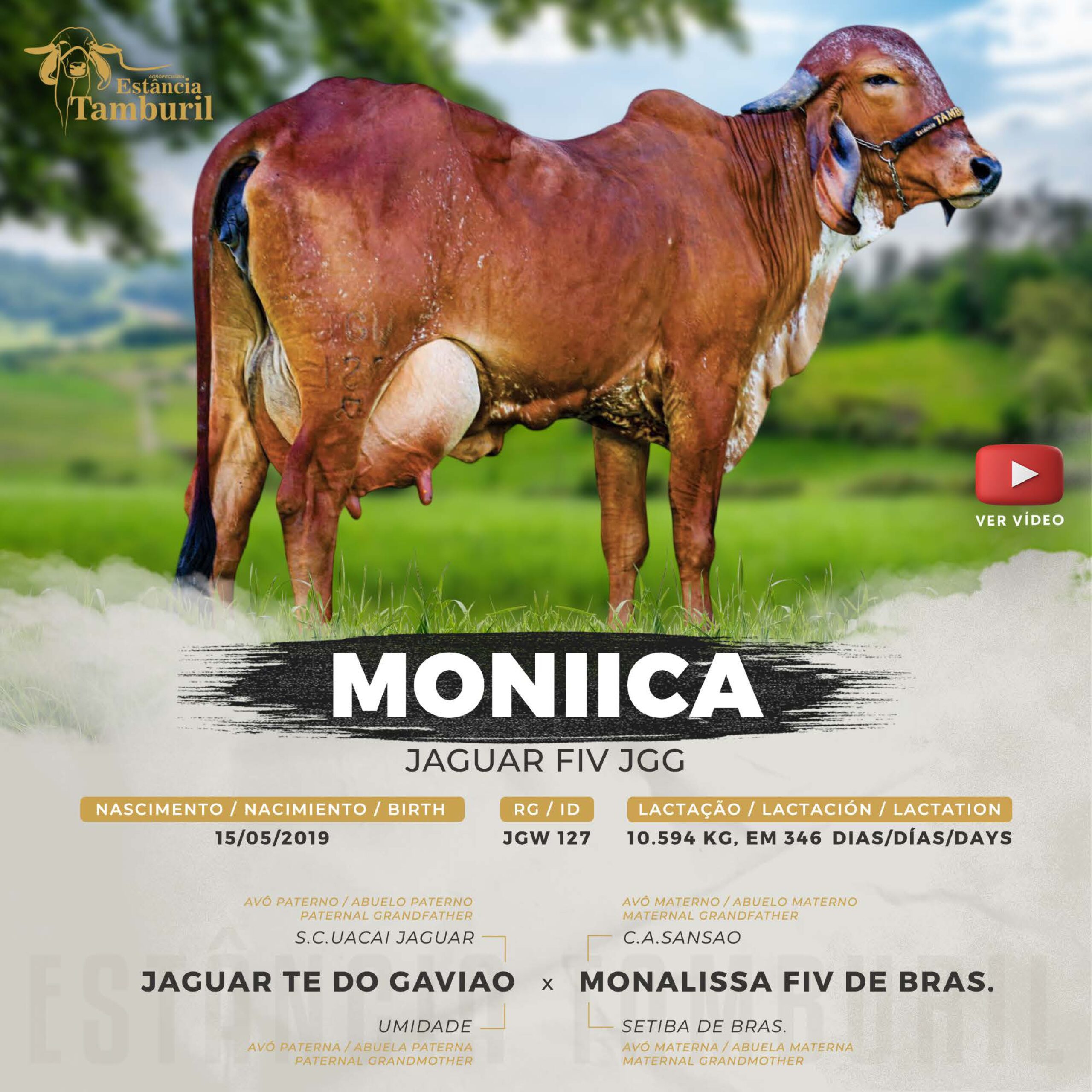 catalogo_tamburil_page-0040