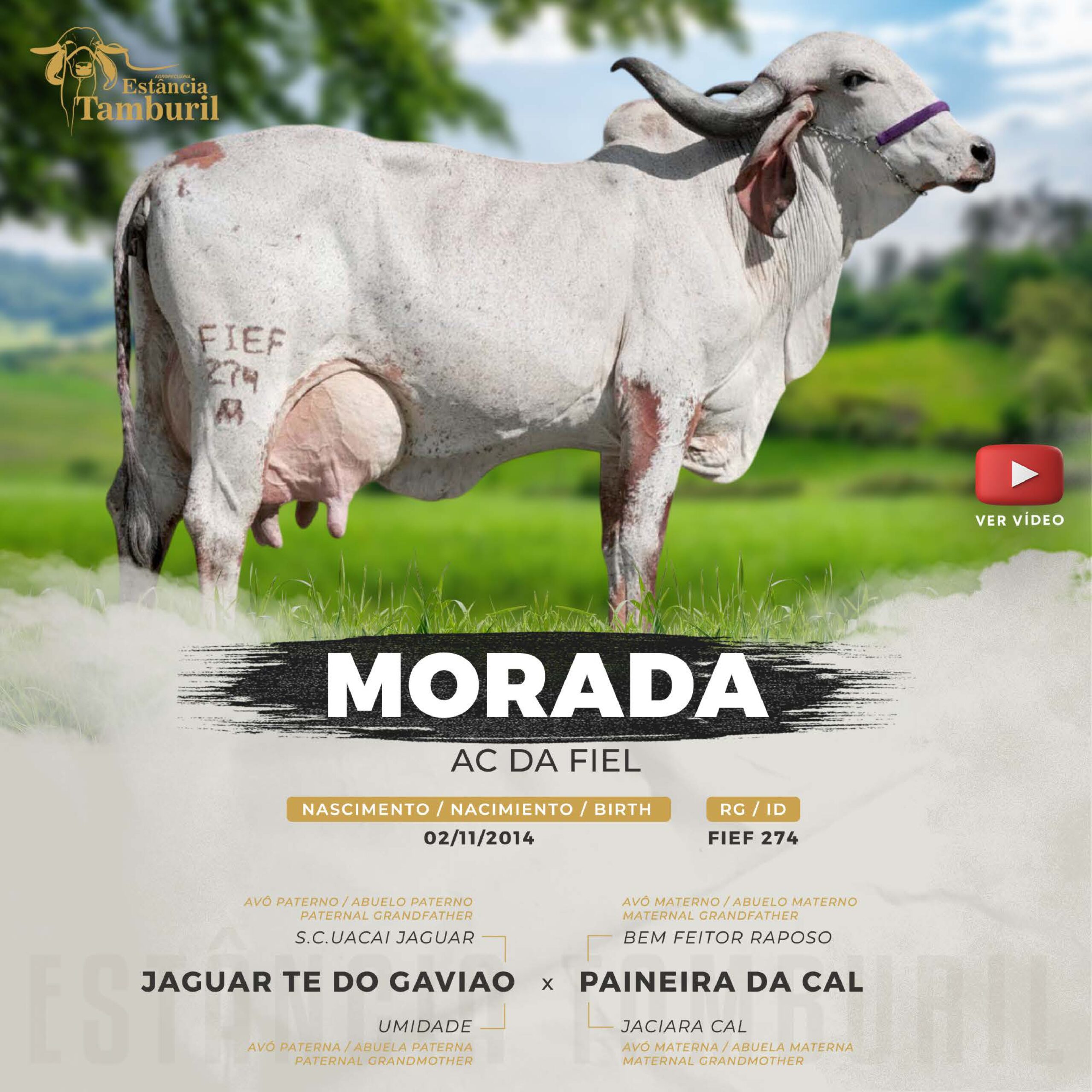 catalogo_tamburil_page-0041