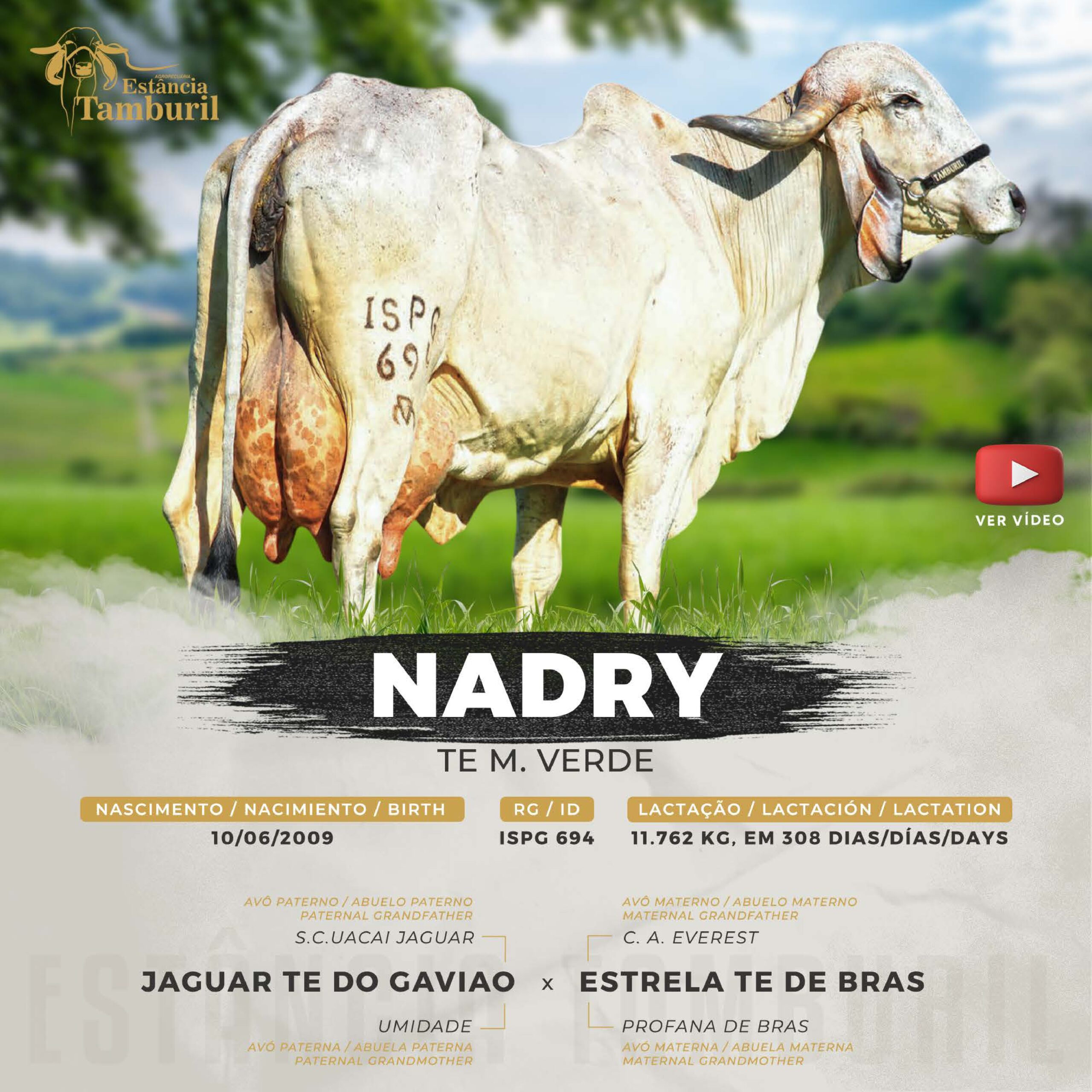 catalogo_tamburil_page-0042