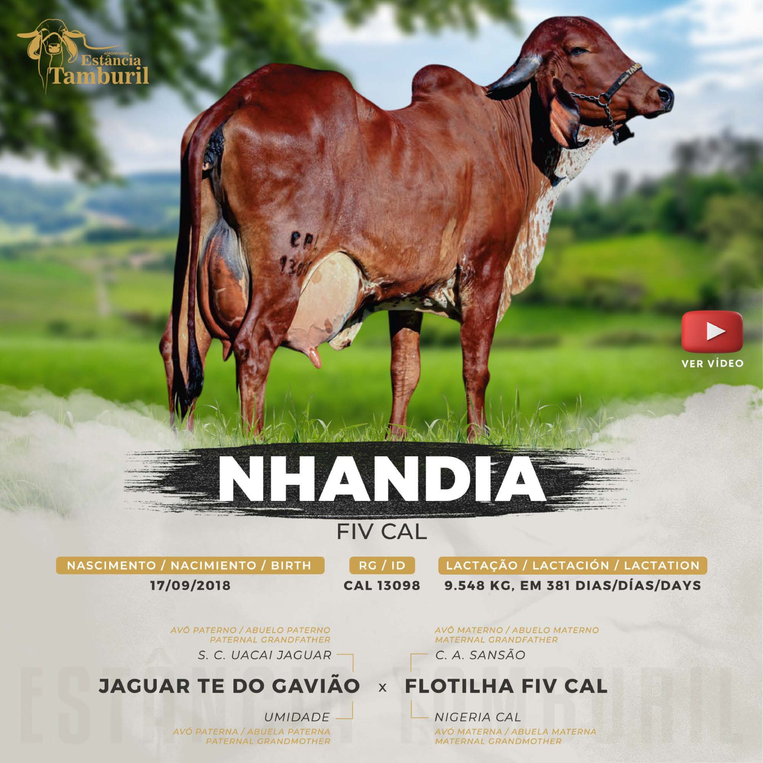 catalogo_tamburil_page-0043