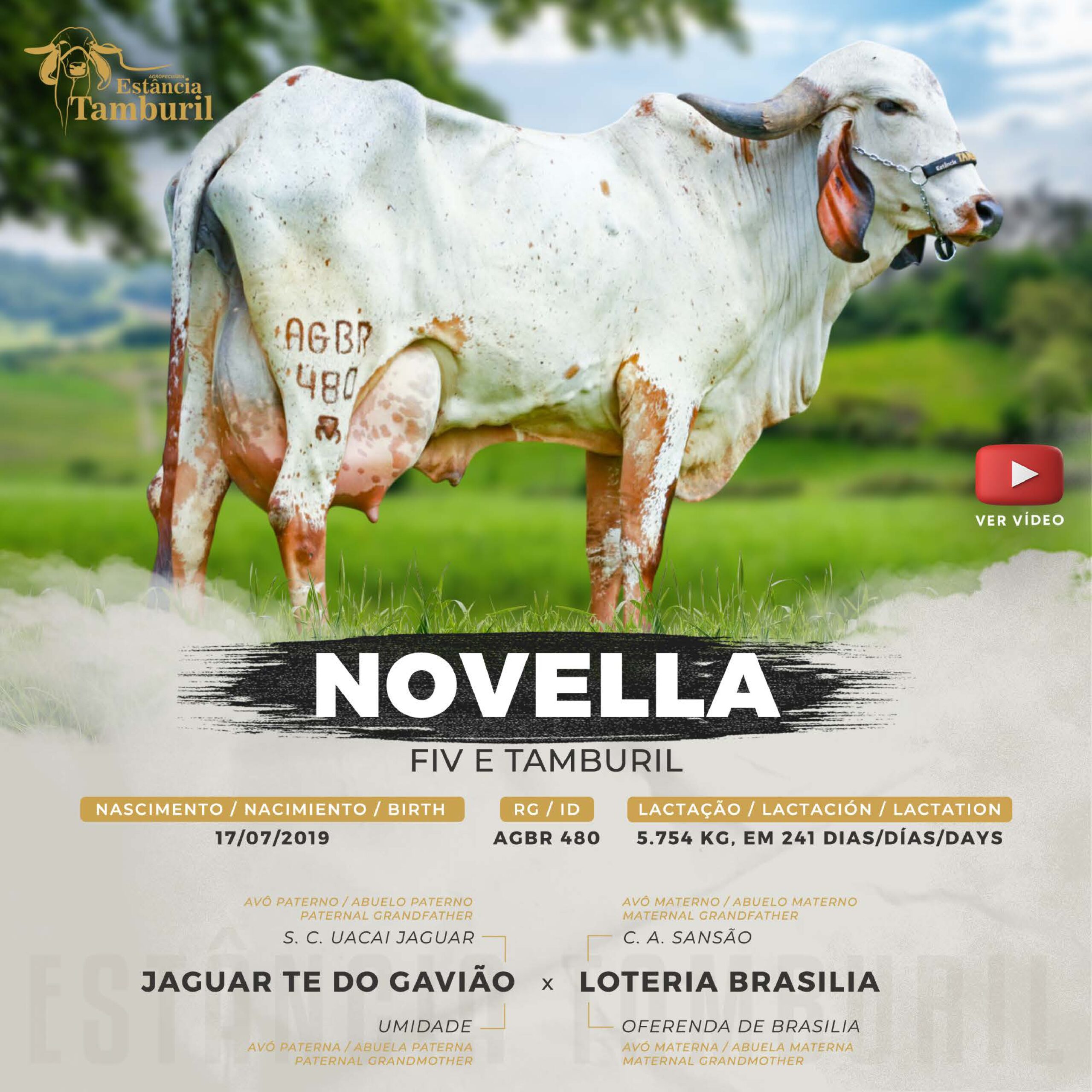 catalogo_tamburil_page-0044