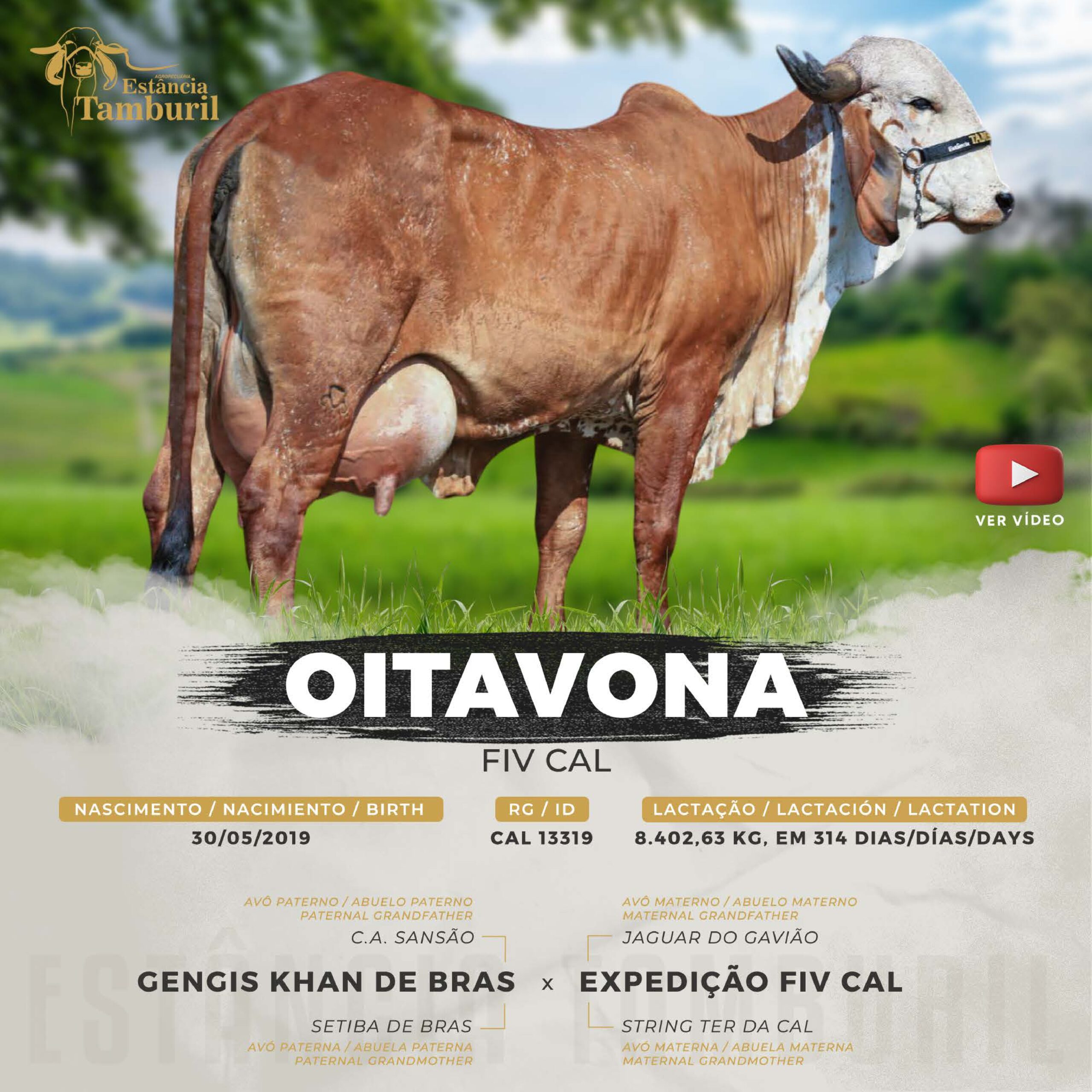 catalogo_tamburil_page-0046