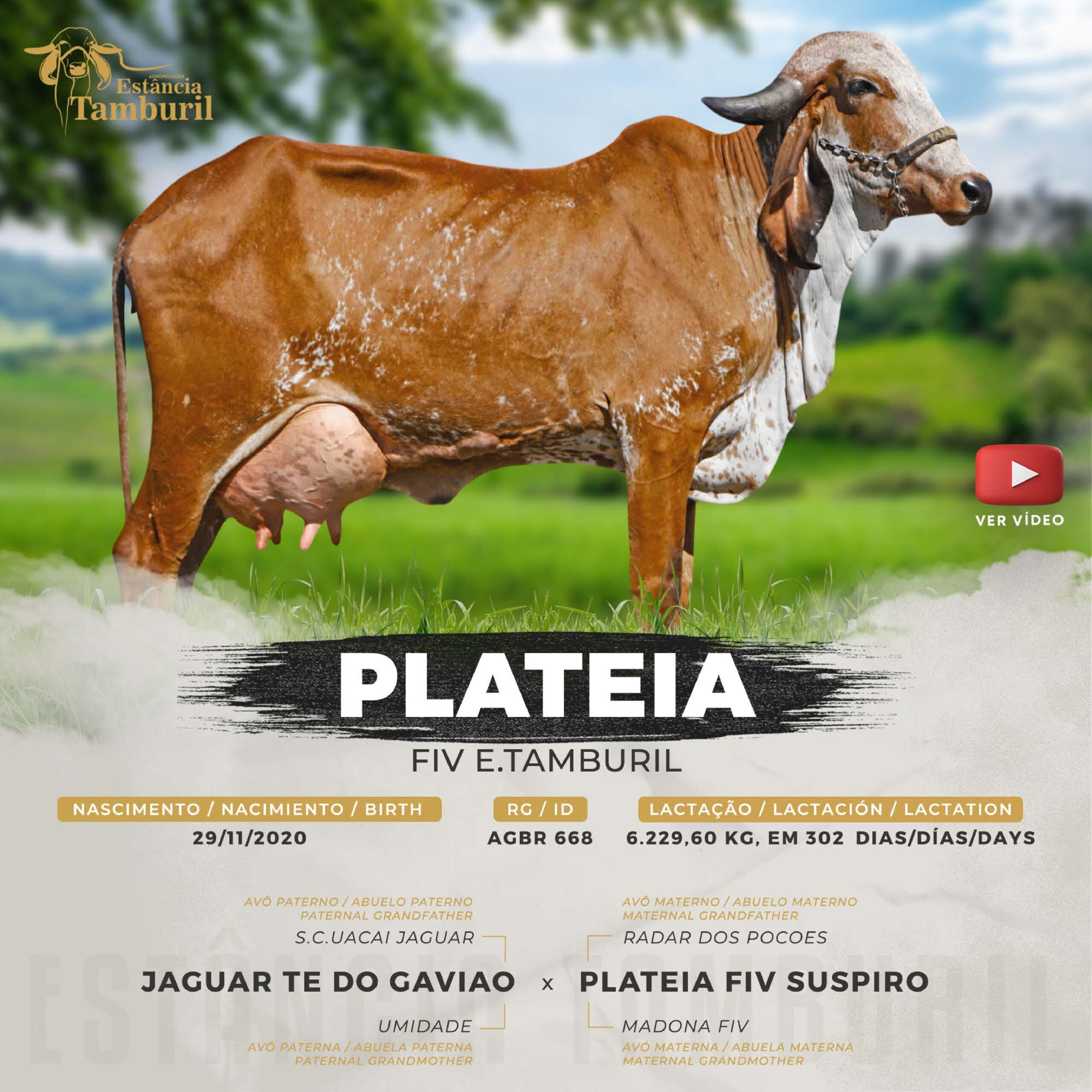 catalogo_tamburil_page-0047