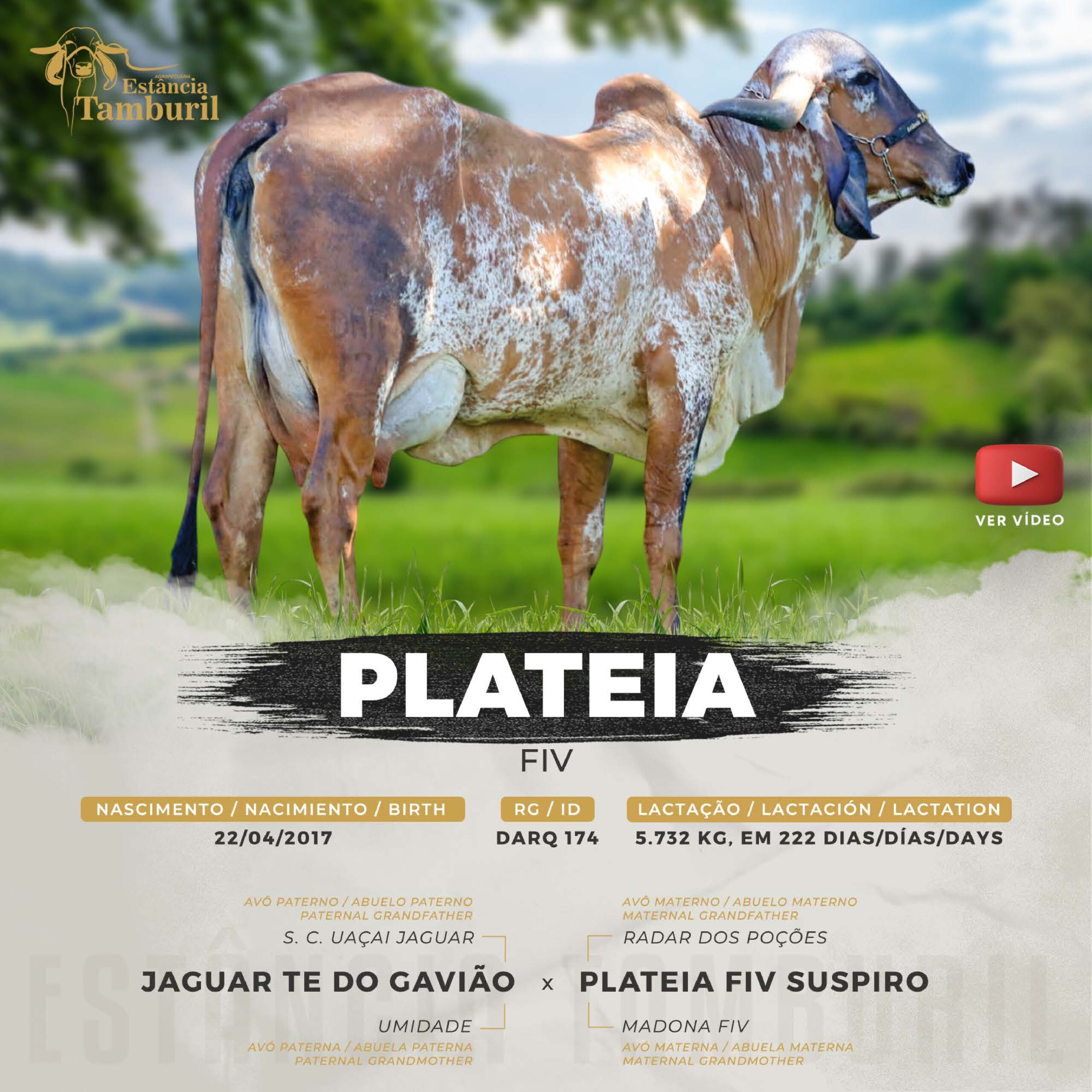 catalogo_tamburil_page-0048