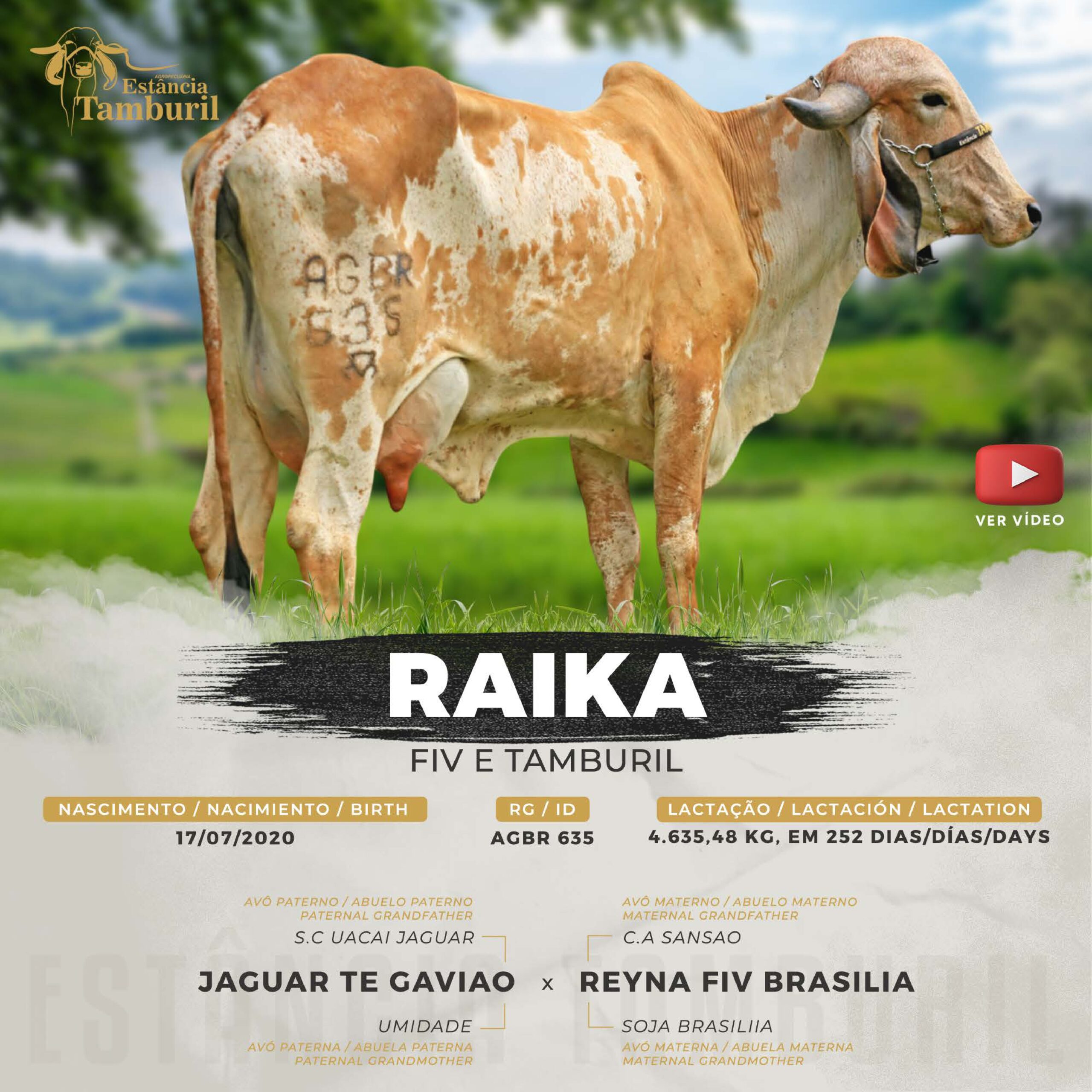 catalogo_tamburil_page-0049