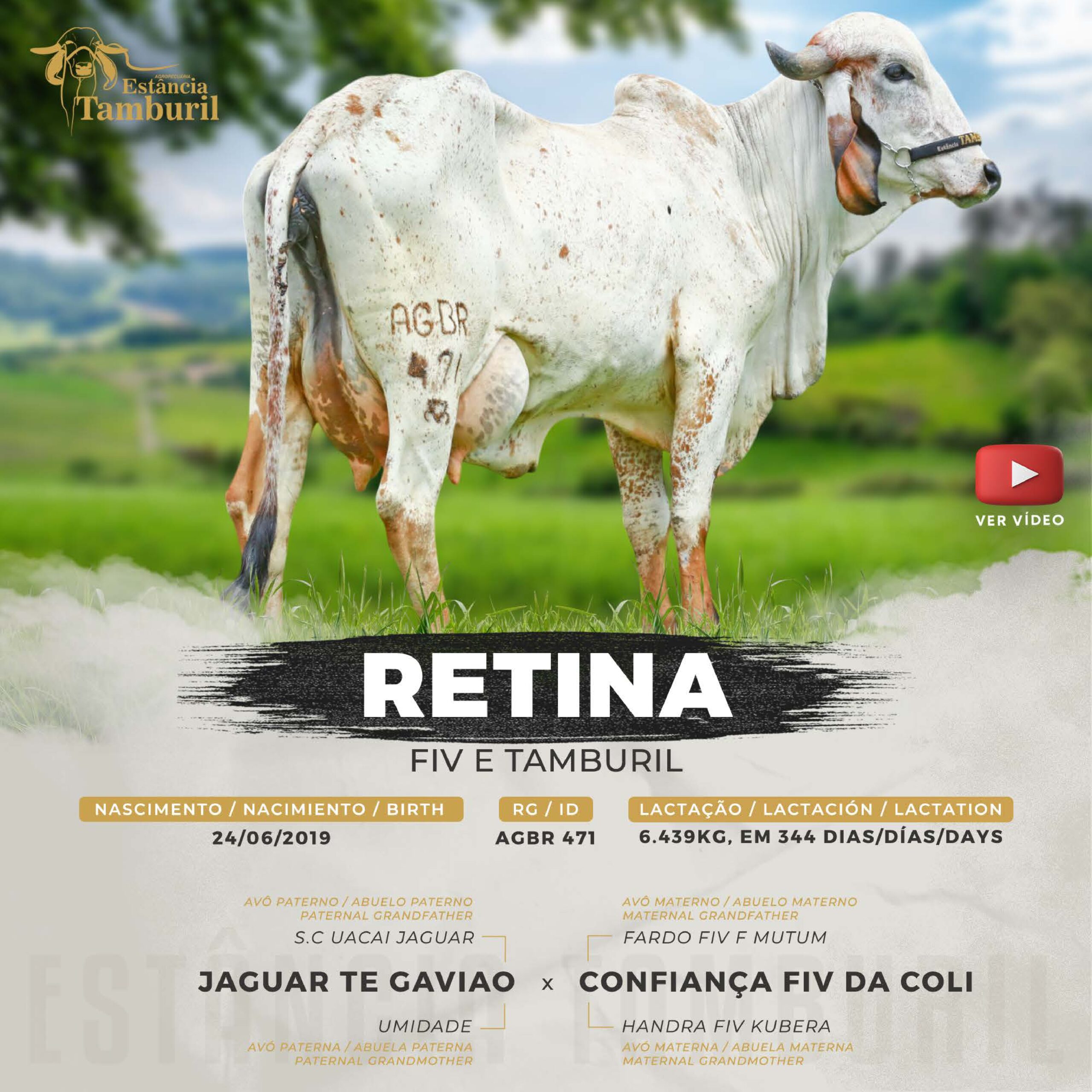 catalogo_tamburil_page-0050