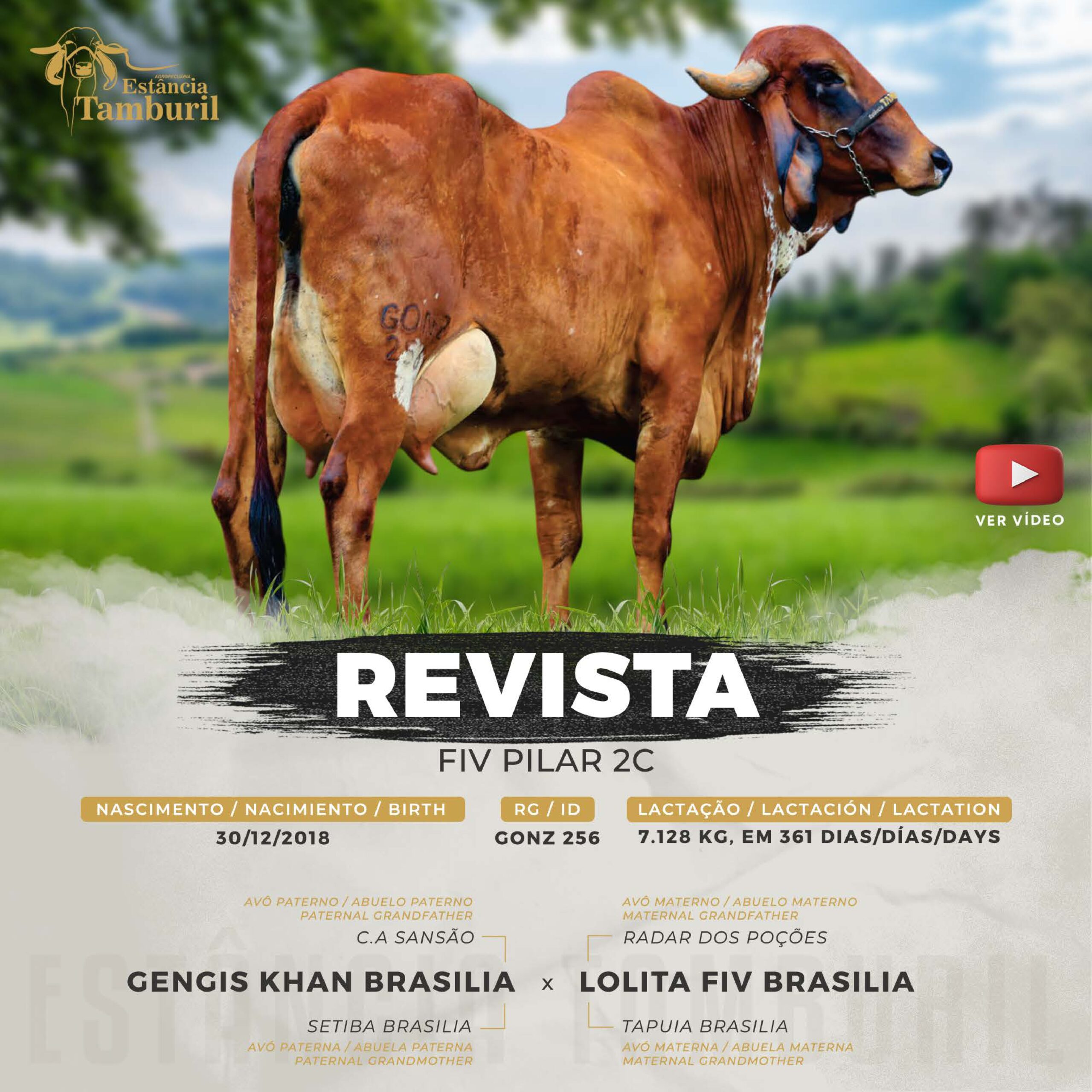 catalogo_tamburil_page-0051