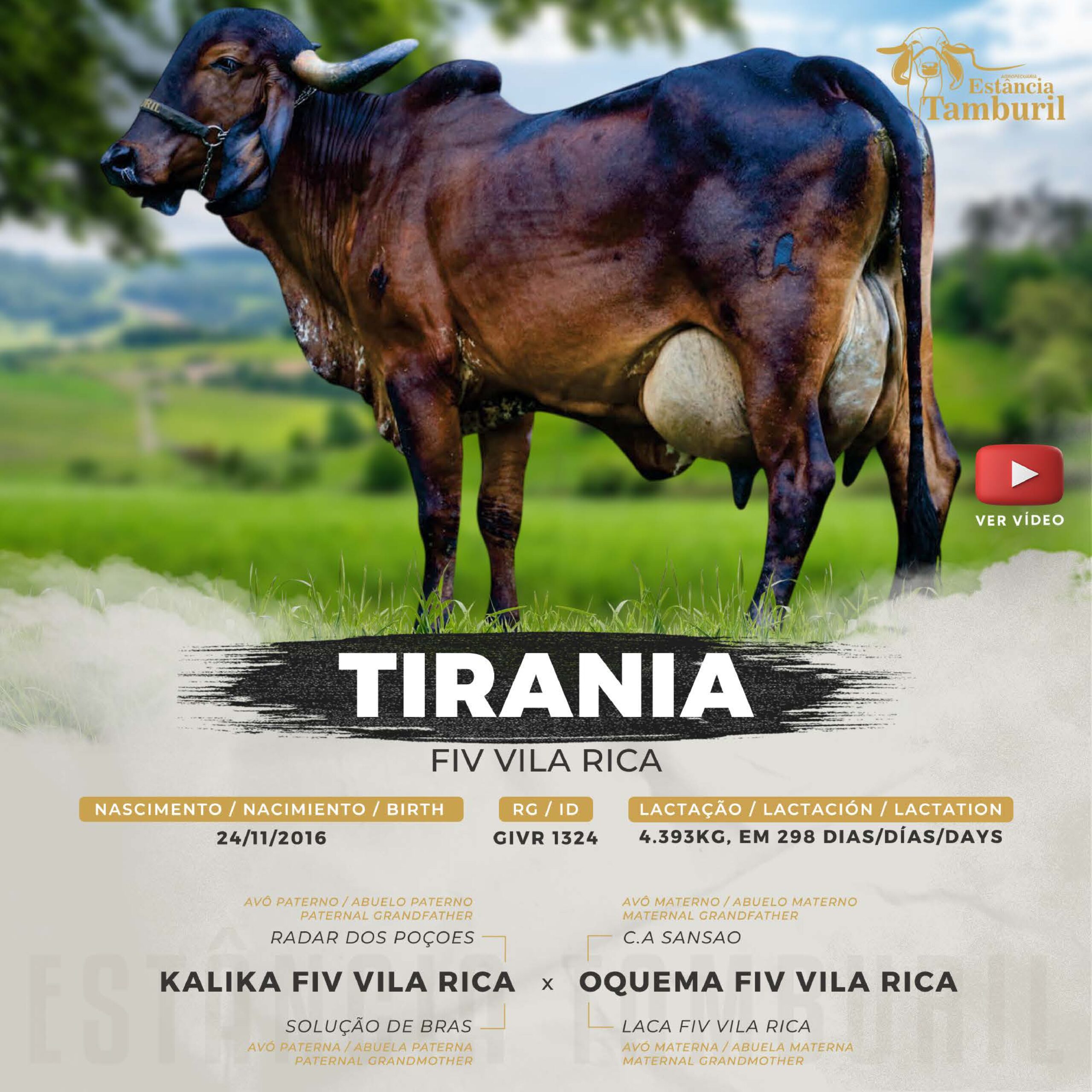 catalogo_tamburil_page-0053