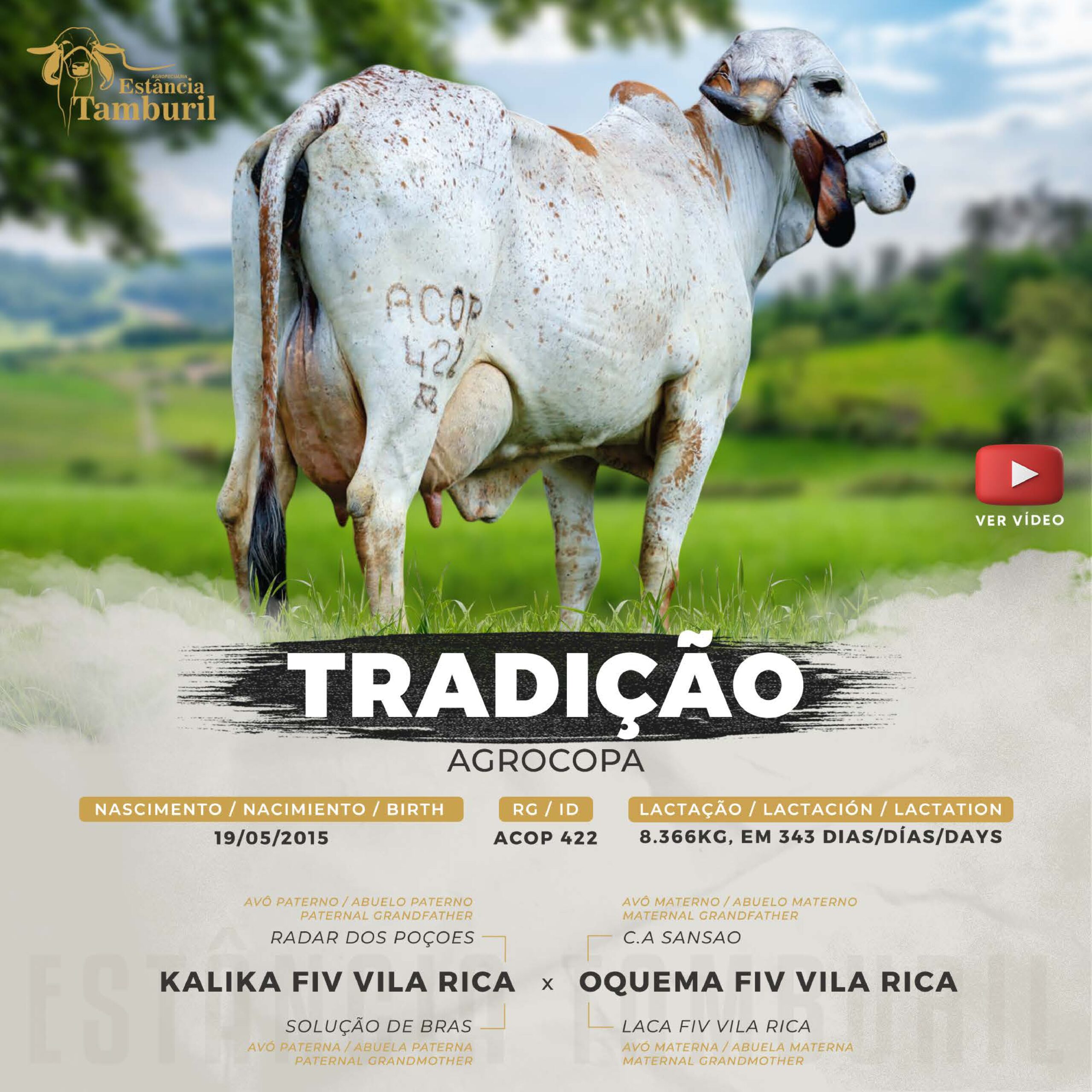 catalogo_tamburil_page-0054