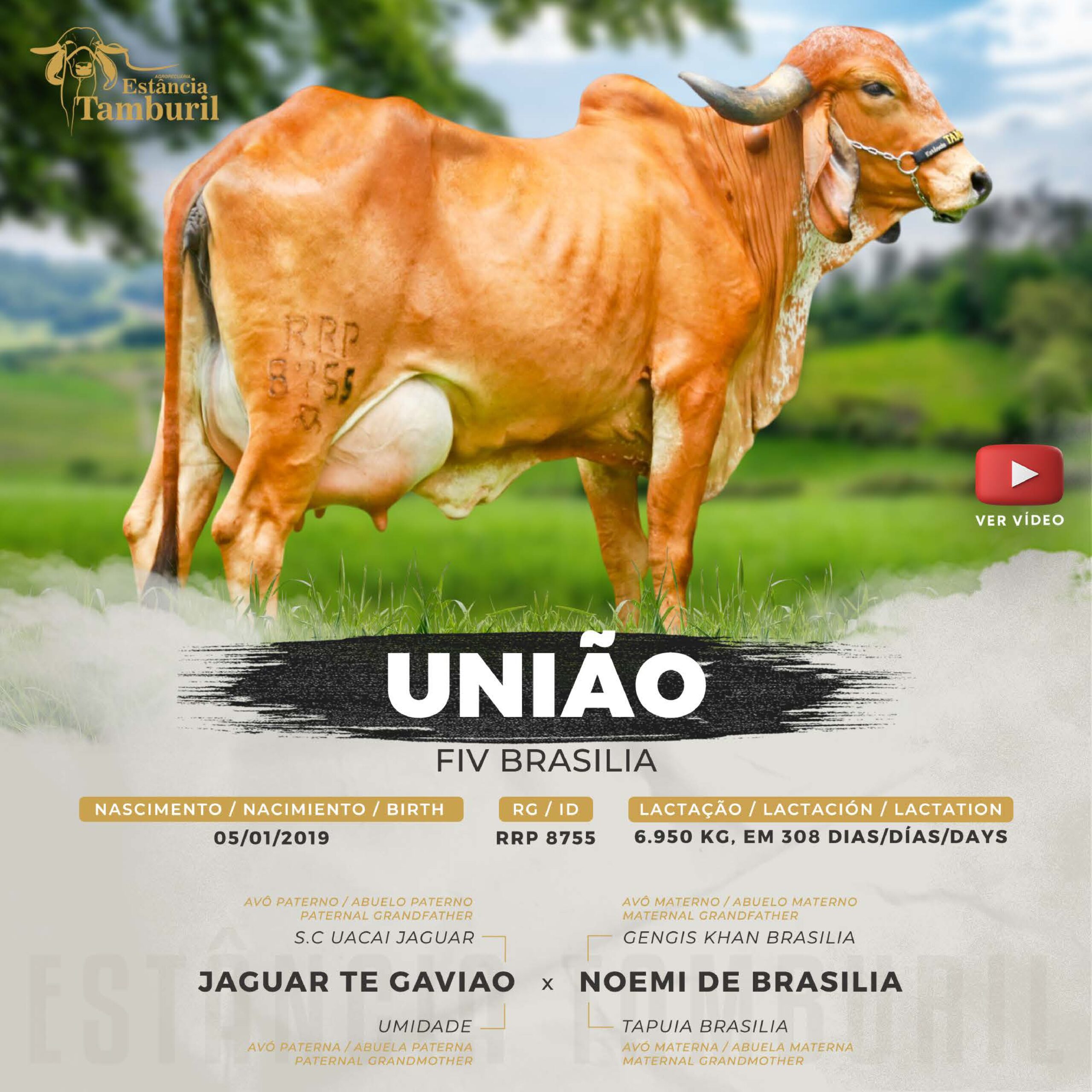 catalogo_tamburil_page-0055