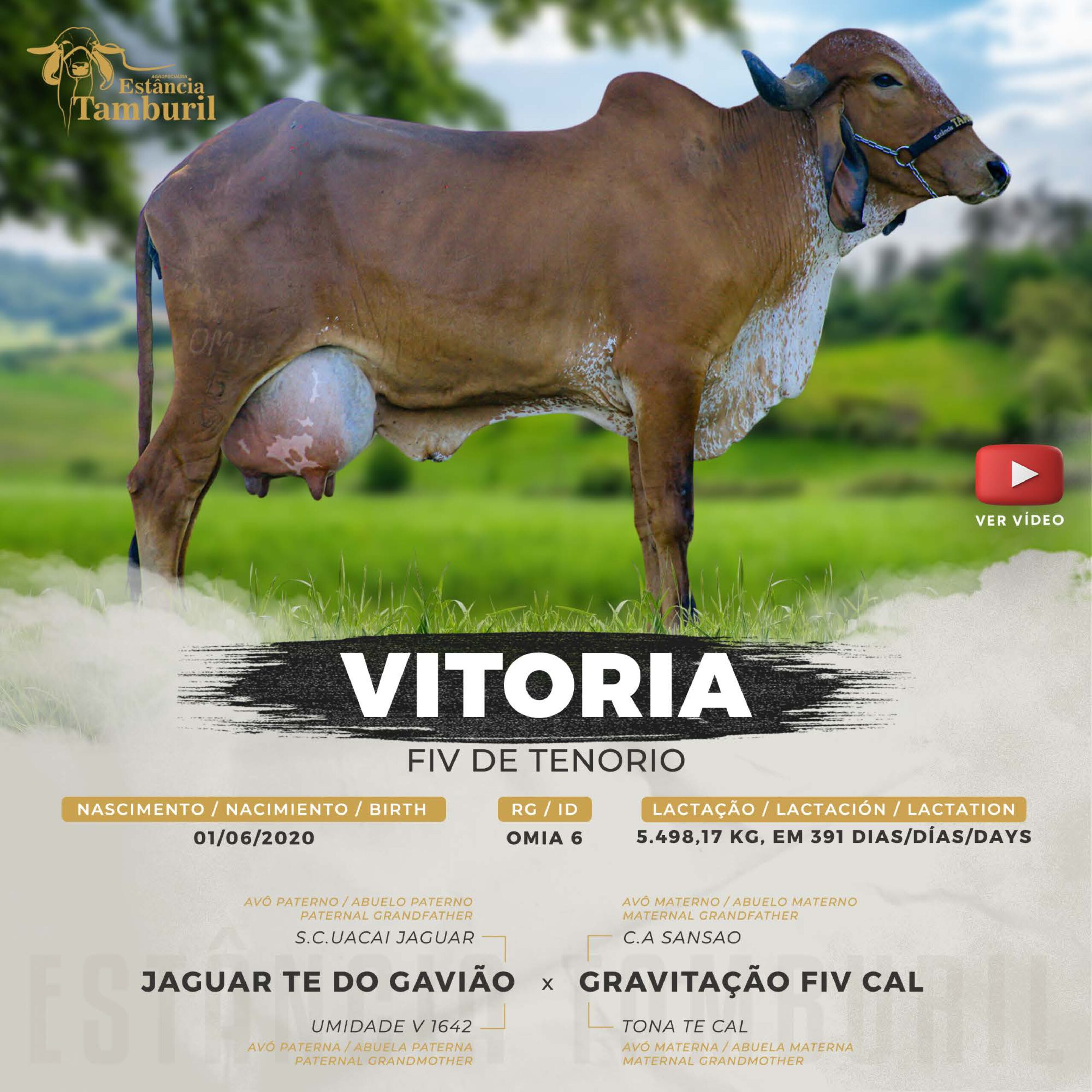 catalogo_tamburil_page-0056