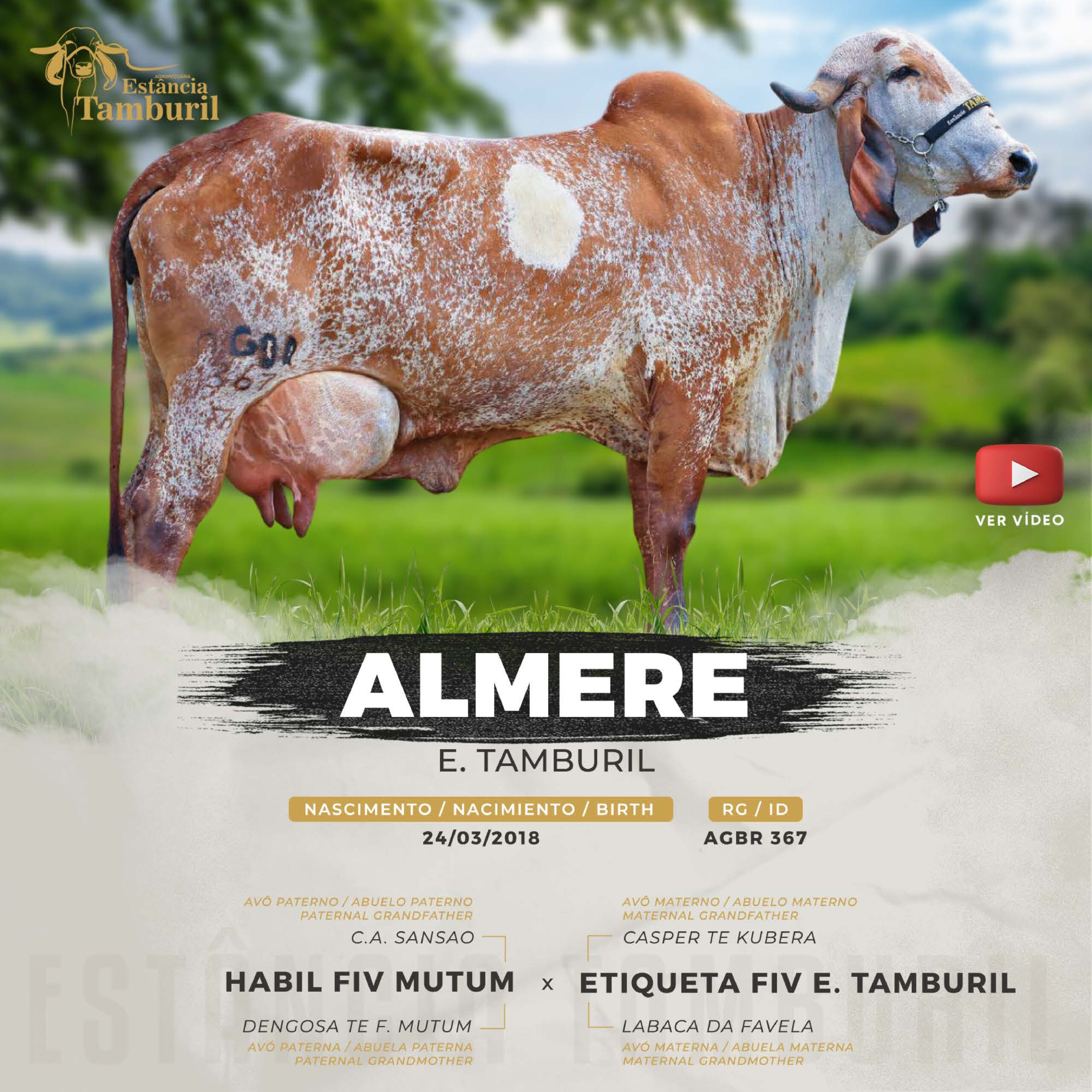 catalogo_tamburil_page-0058