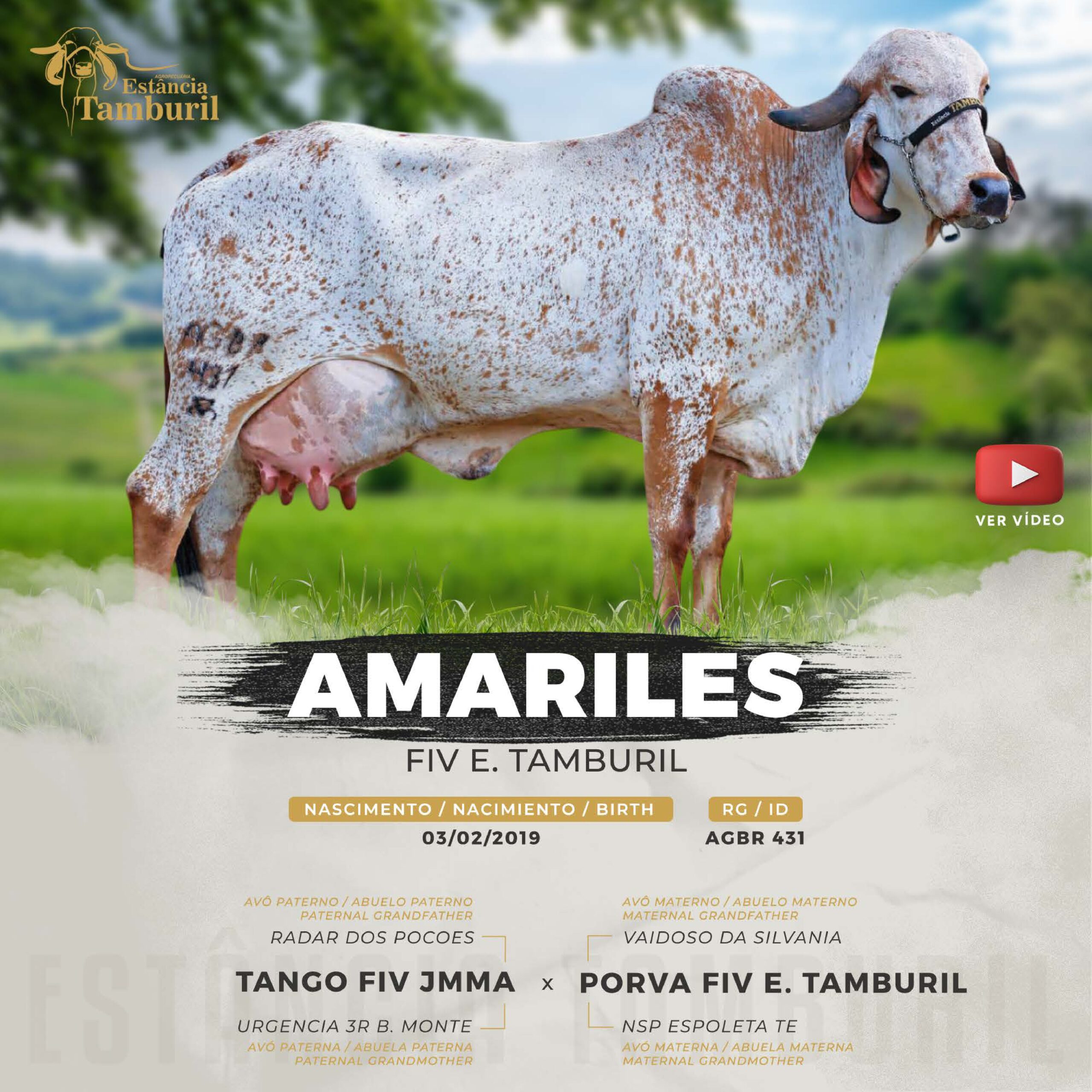 catalogo_tamburil_page-0059