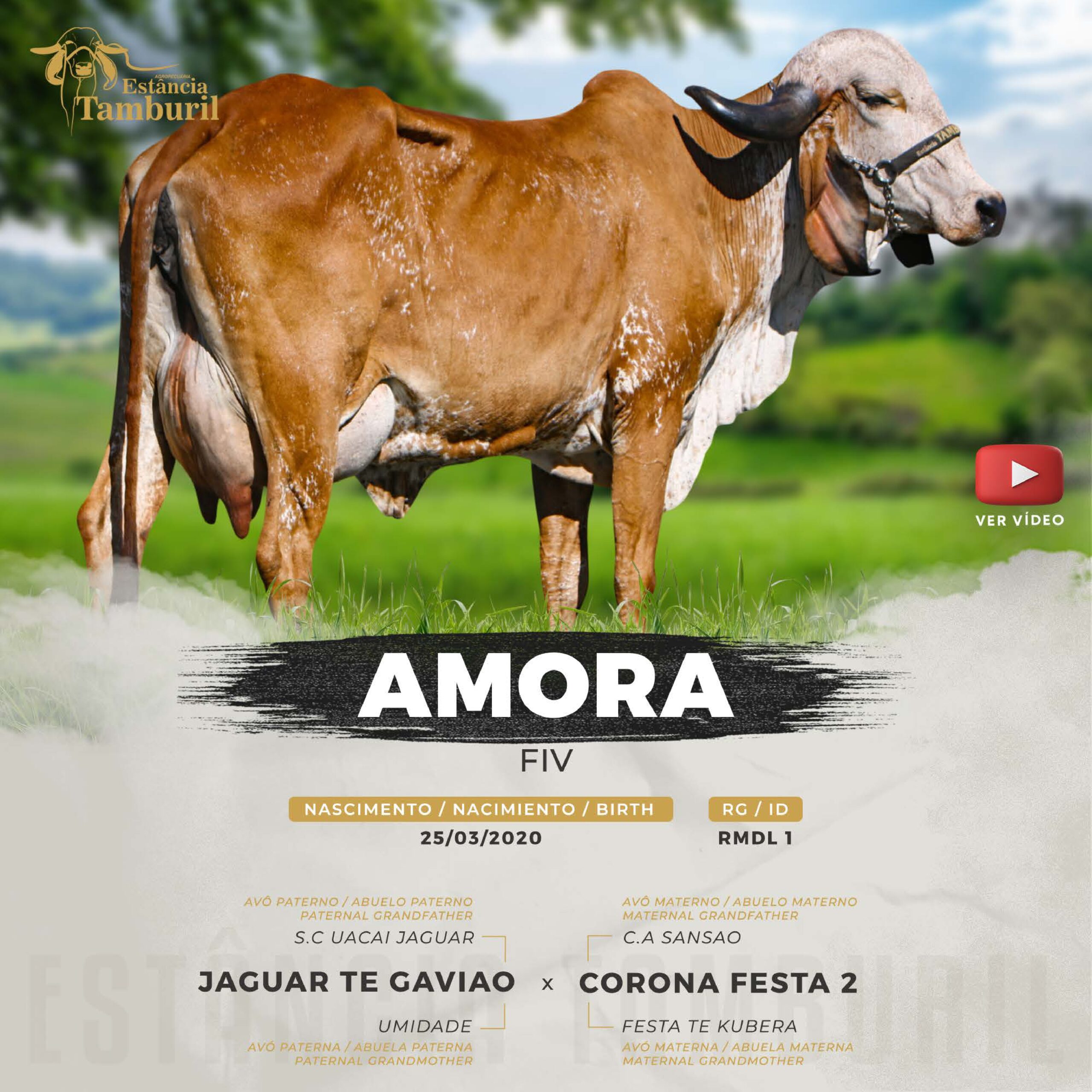 catalogo_tamburil_page-0060