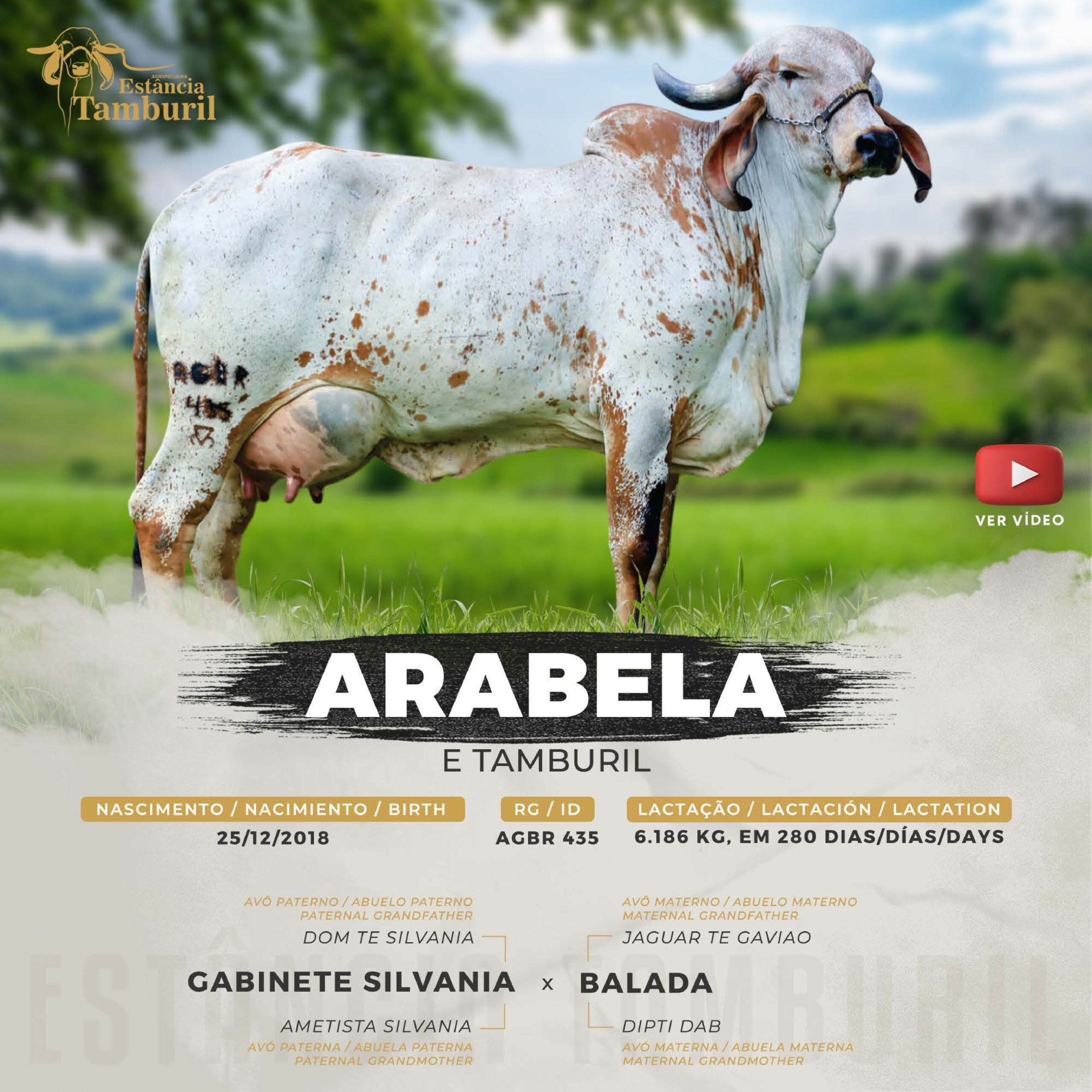 catalogo_tamburil_page-0061