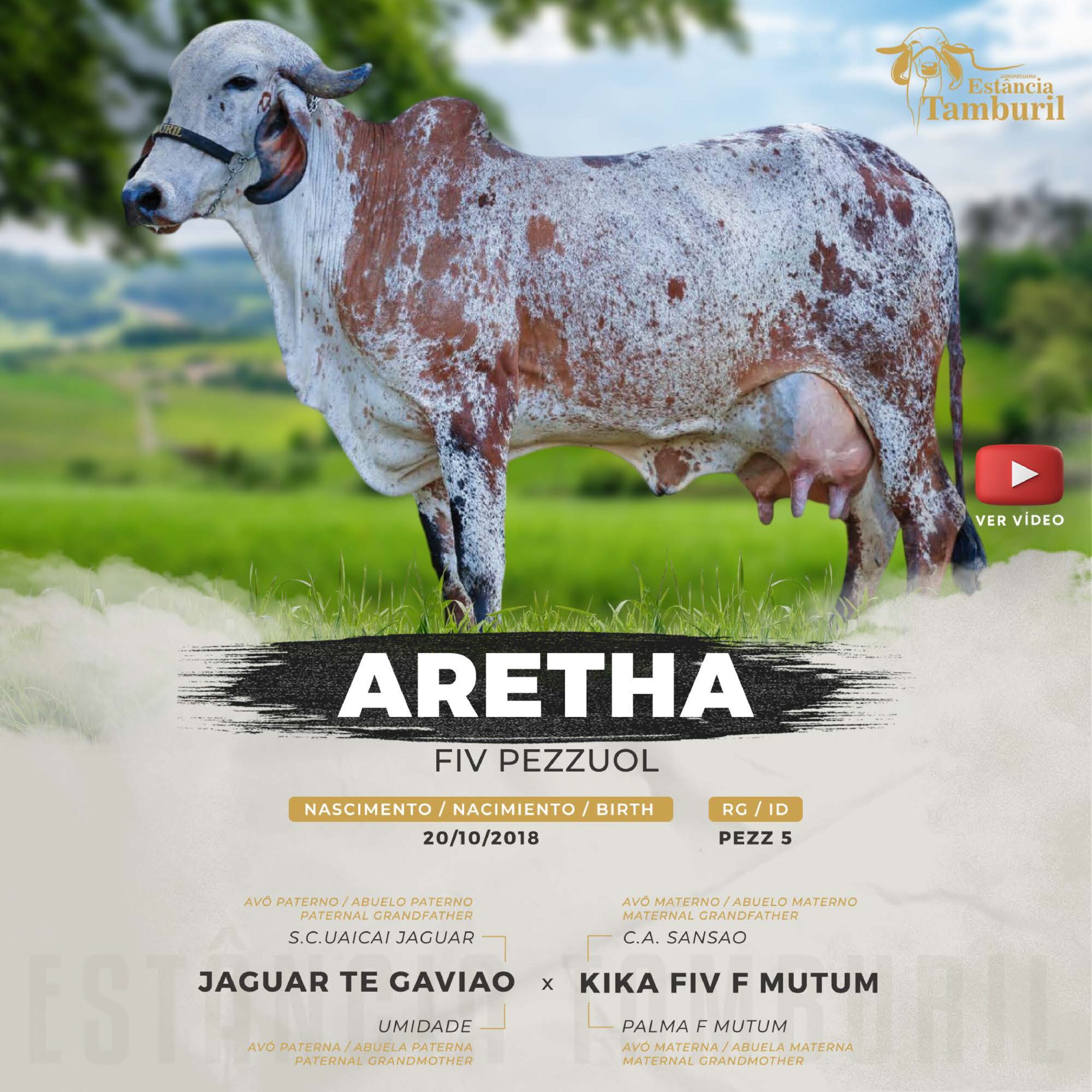 catalogo_tamburil_page-0062